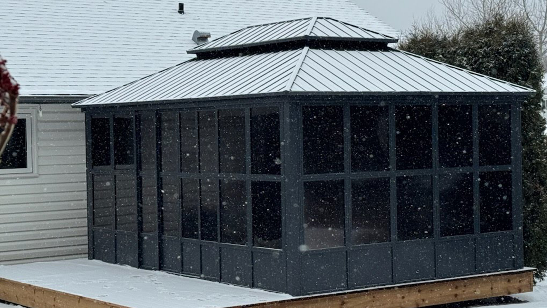 Amazon.com : PURPLE LEAF 12' X 14' Solarium Permanent Hardtop