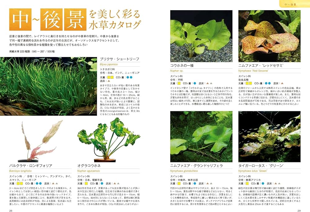 新装版 レイアウトに使える水草 500種図鑑 (アクアライフの本) | 高城