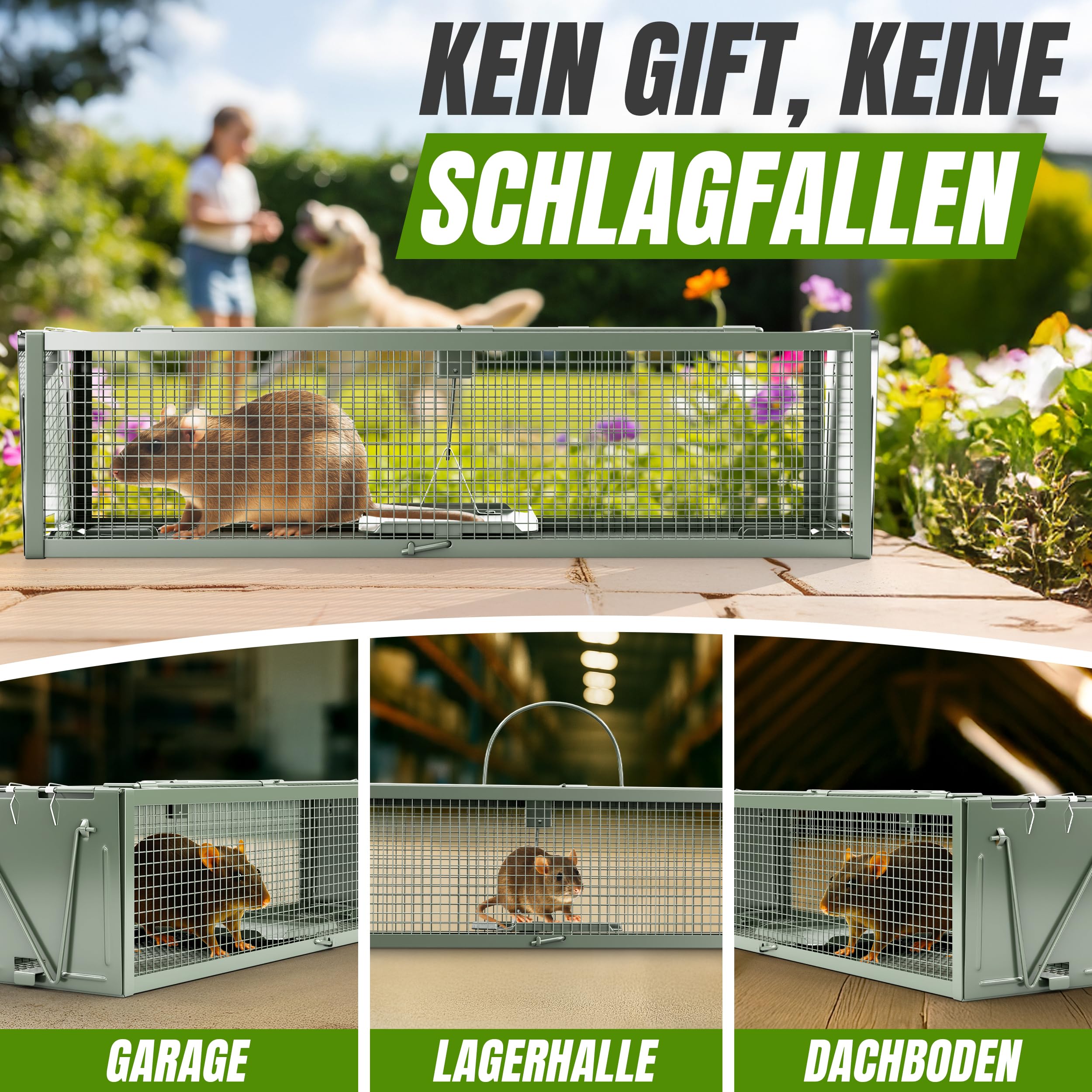 VANWILD® Rattenfalle Lebend 40cm | Tierfreundliche Lebendfalle mit Zwei Eingängen, Sichere & Effektive Mausefalle für jeden Einsatzbereich