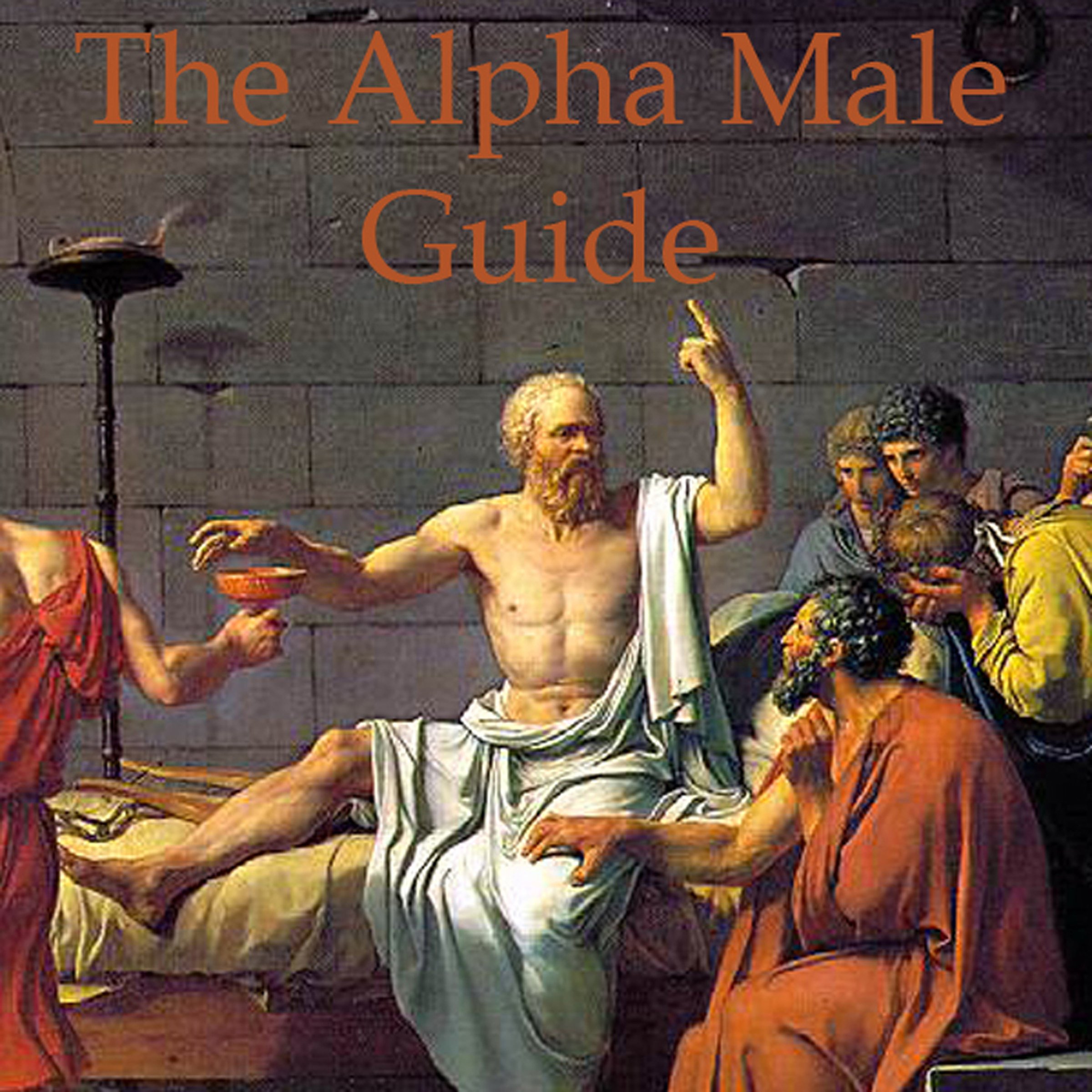 The Alpha Male Guide