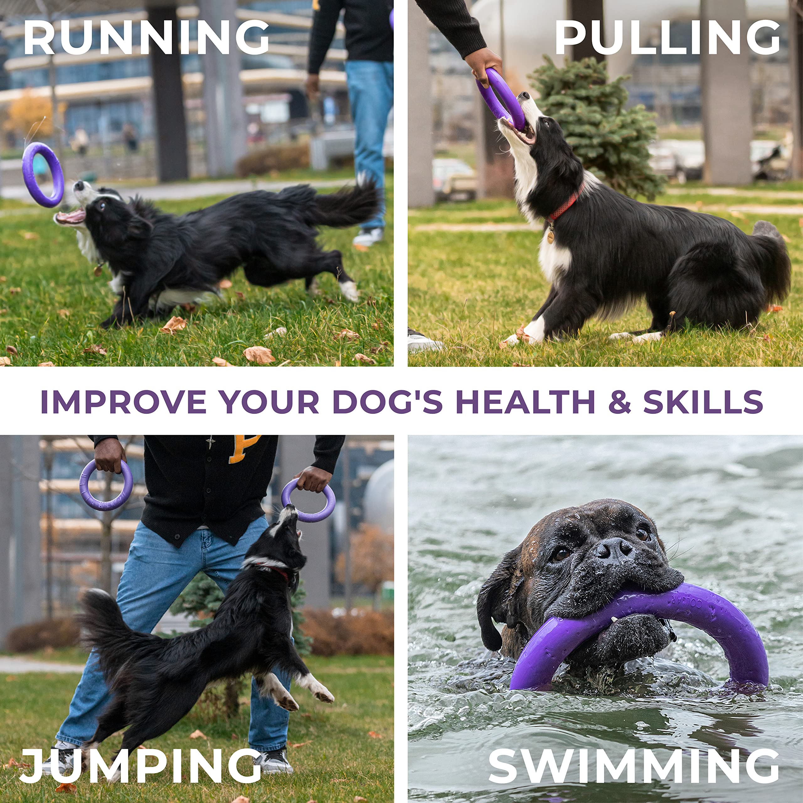COLLAR Juguetes para Perros para Exteriores – Juguete de búsqueda de Perros y tirón de Guerra para Perros pequeños, medianos y Grandes – Pelota para Perros y Frisbee Suave para Perros – Juguetes para