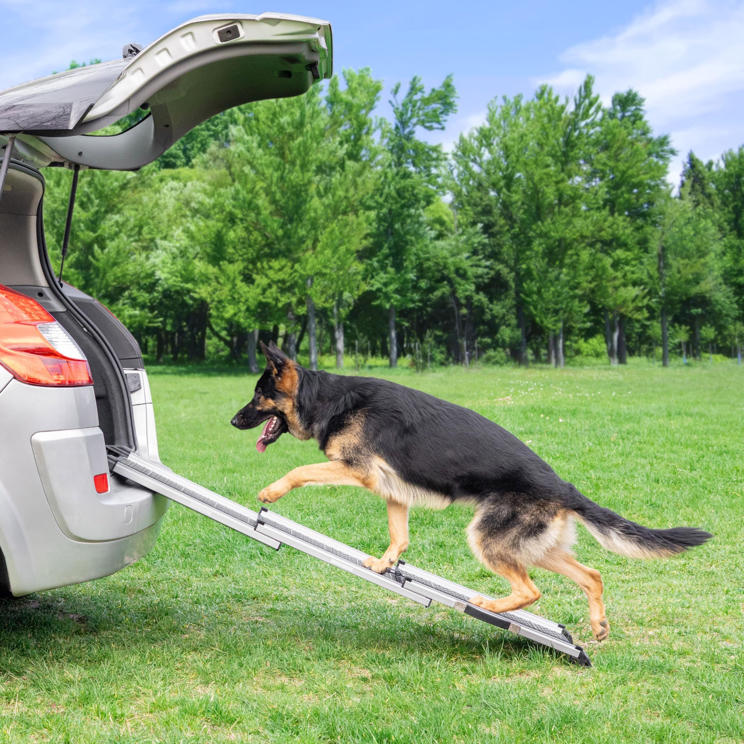 Rampe pour Chien Voiture, SUV - Rampe télescopique Extensible pour Grands Chiens - Stable - Antidérapante - Bordures réfléchissantes pour la sécurité de Nuit - Capacité 90kg - Clip de Fixation Gris