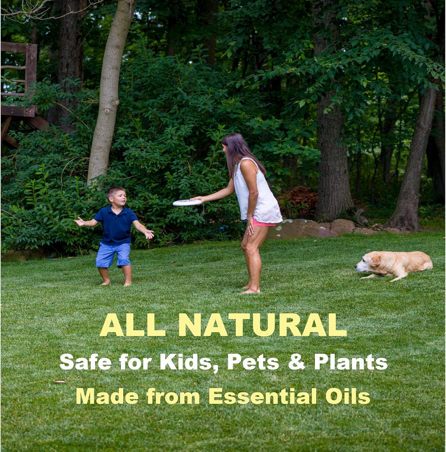 Mosquito Spray for Yard, Gentle but Effective Outdoor Insect Control, Kills Ticks on Contact, Natural Essential Oils, 8 OZ - Image 5