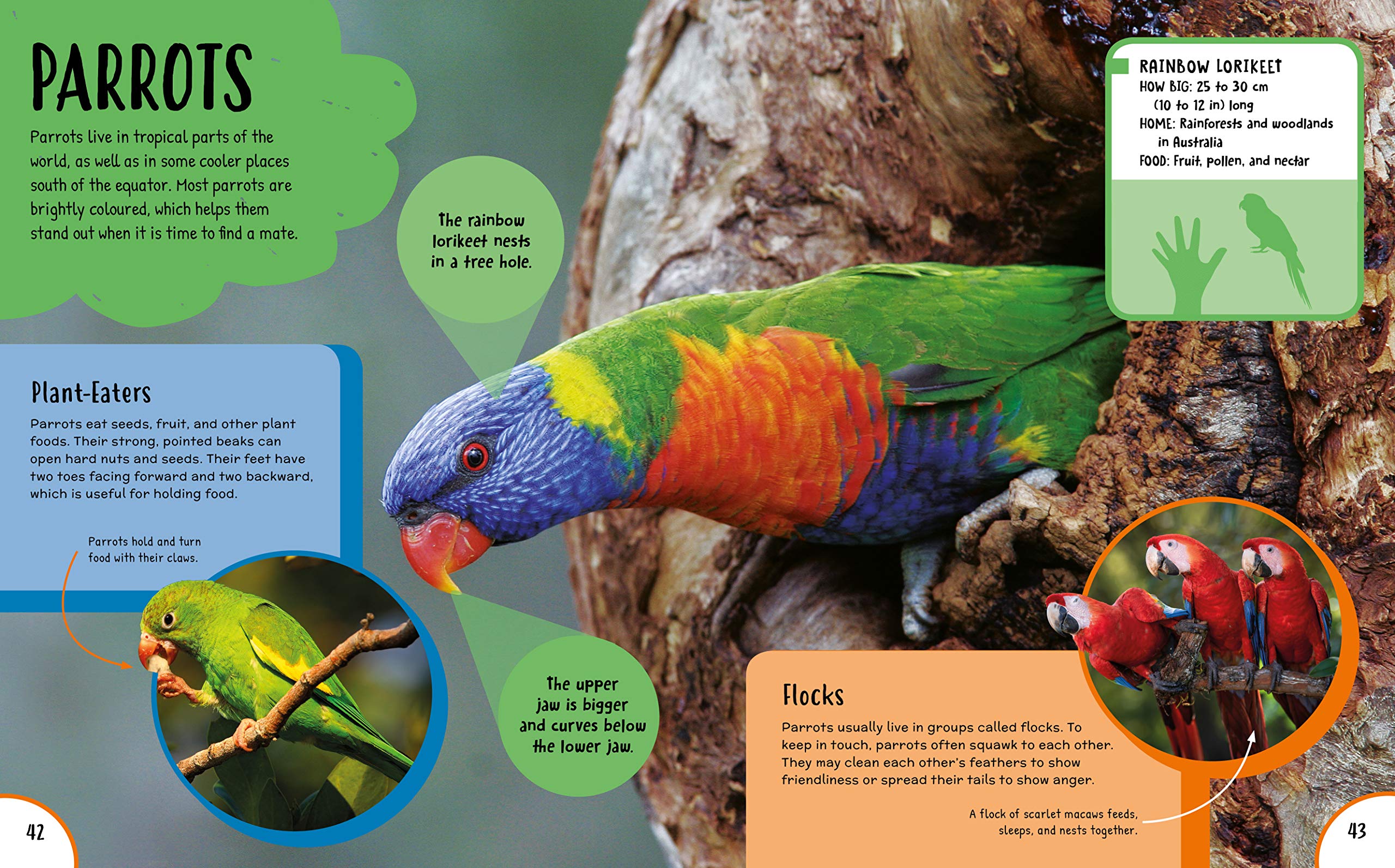 Children's First Encyclopedia: Discover an Amazing World of Knowledge