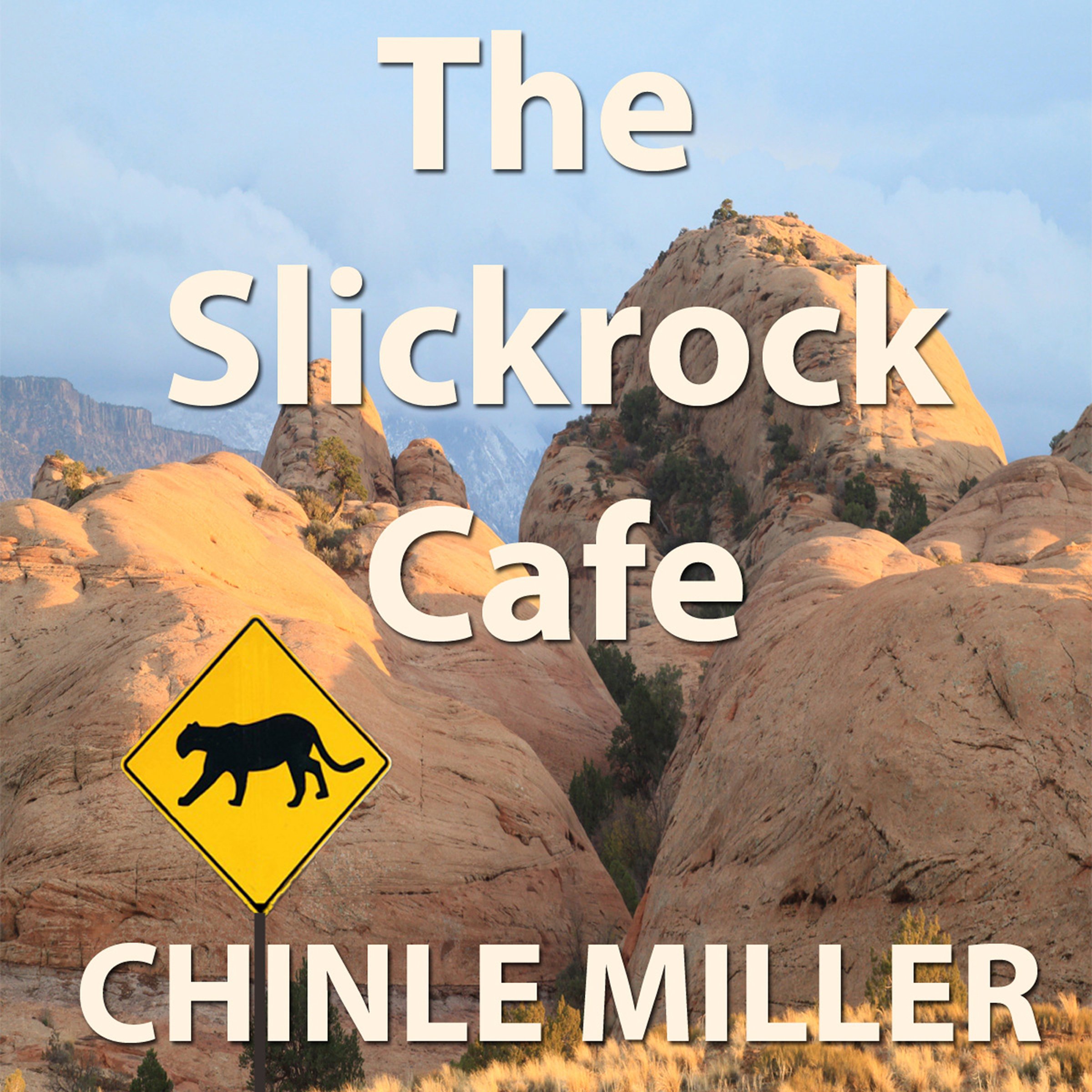 Cover art for The Slickrock Cafe