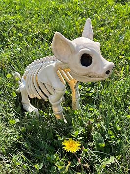 Crazy Bonez Skeleton Pig