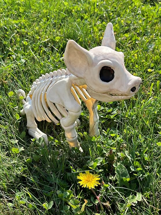 Crazy Bonez Skeleton Pig