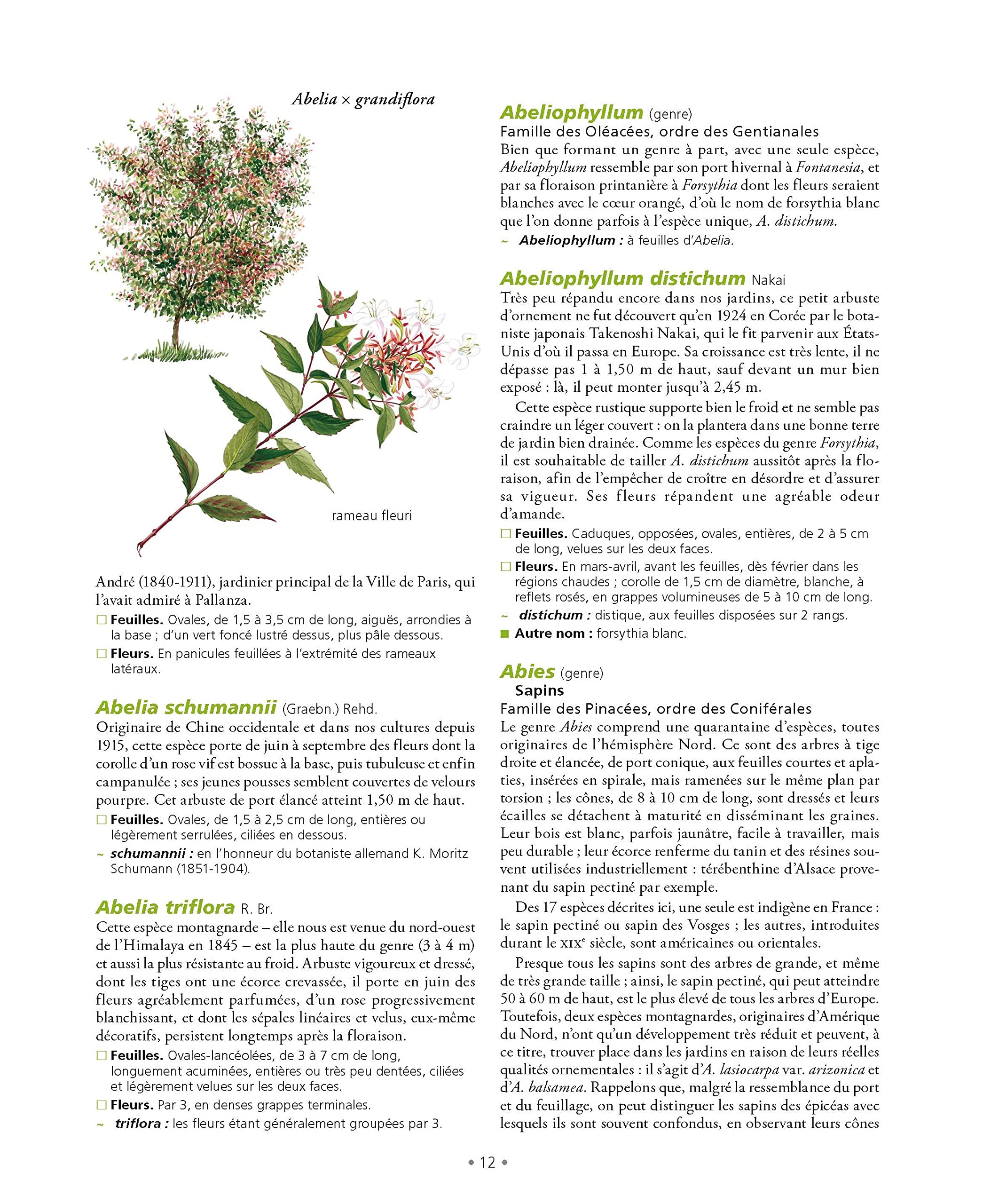 Le Grand Larousse des arbres