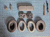 Review Image by Scott D. Foody Scott D. Foody