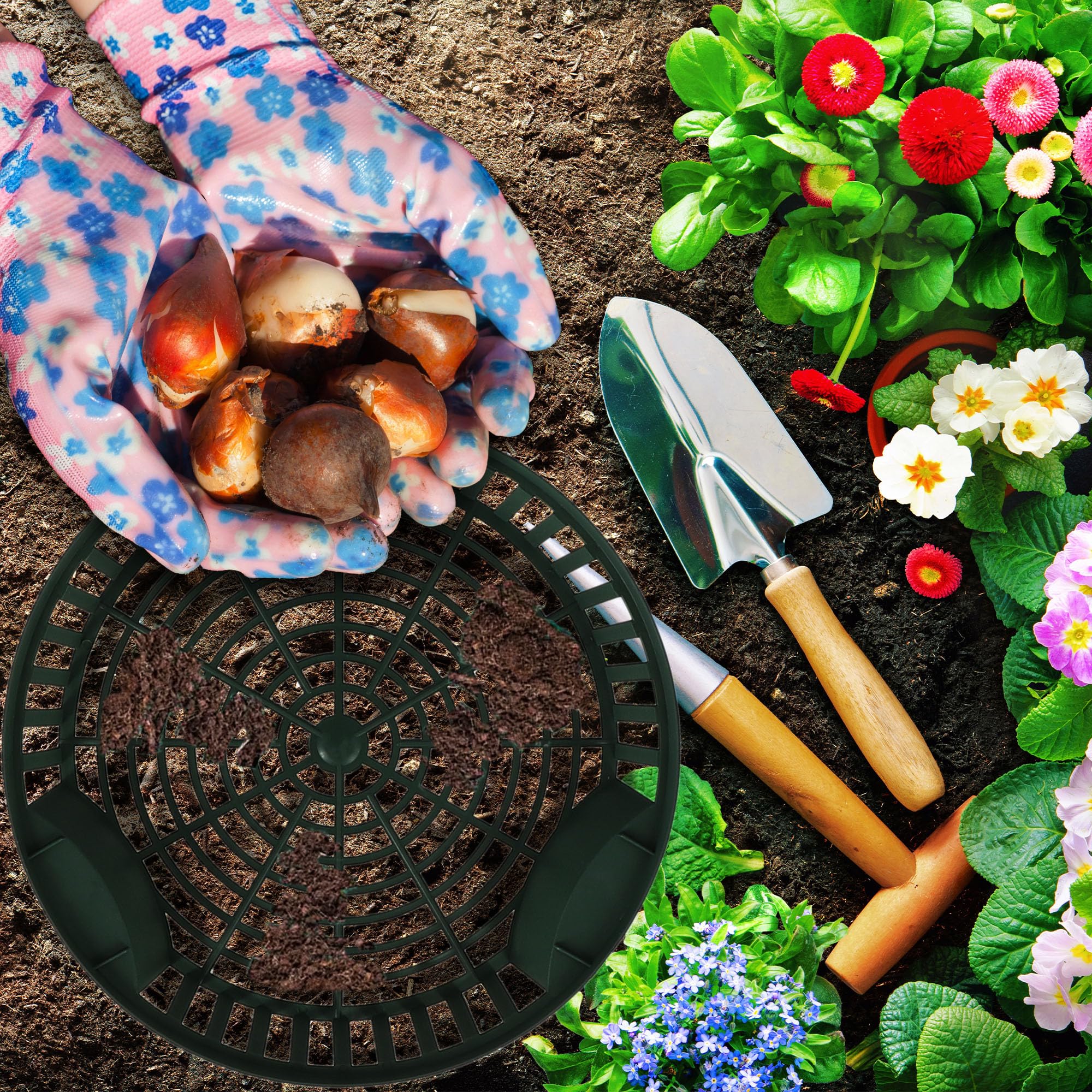 KOTARBAU® Set 10 Unidades Cesta para Bulbos - Plástico - ⌀ 265 mm - Verde - Bandeja para Plantar Bulbos de Flores - Tulipanes - Narcisos - Organizador Jardín - Reutilizable