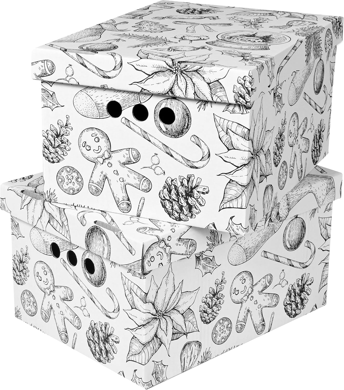 Cardboard Storage Boxes with Lid, Decorative Wardrobe, Closet, Home