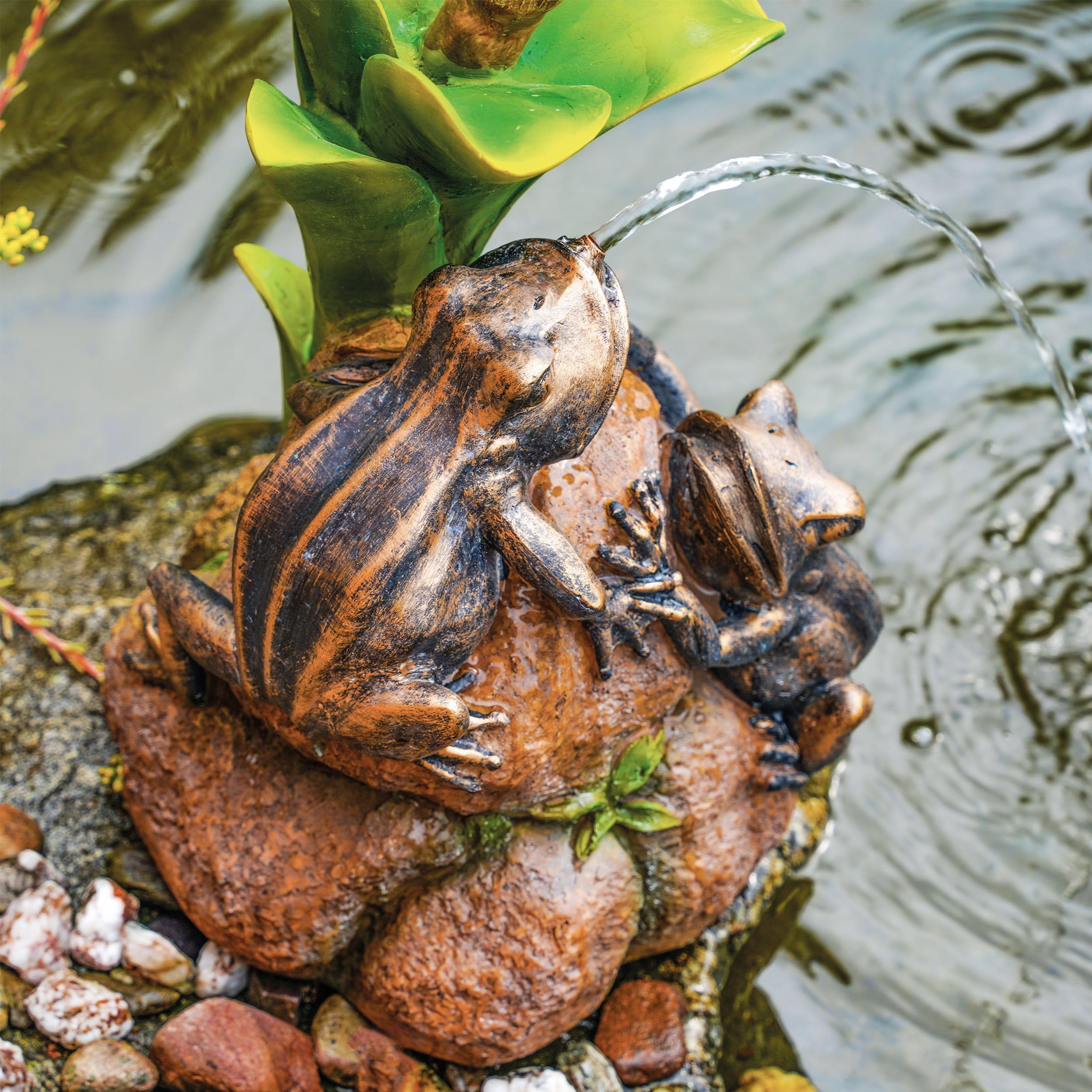 Esotec Solar Wasserspeier Komplettset, Wasserspiel für Gartenteich, Froschpaar auf Steinen, Vogeltränke, Vogelbad, Gartenbrunnen mit Solarpumpe 101662