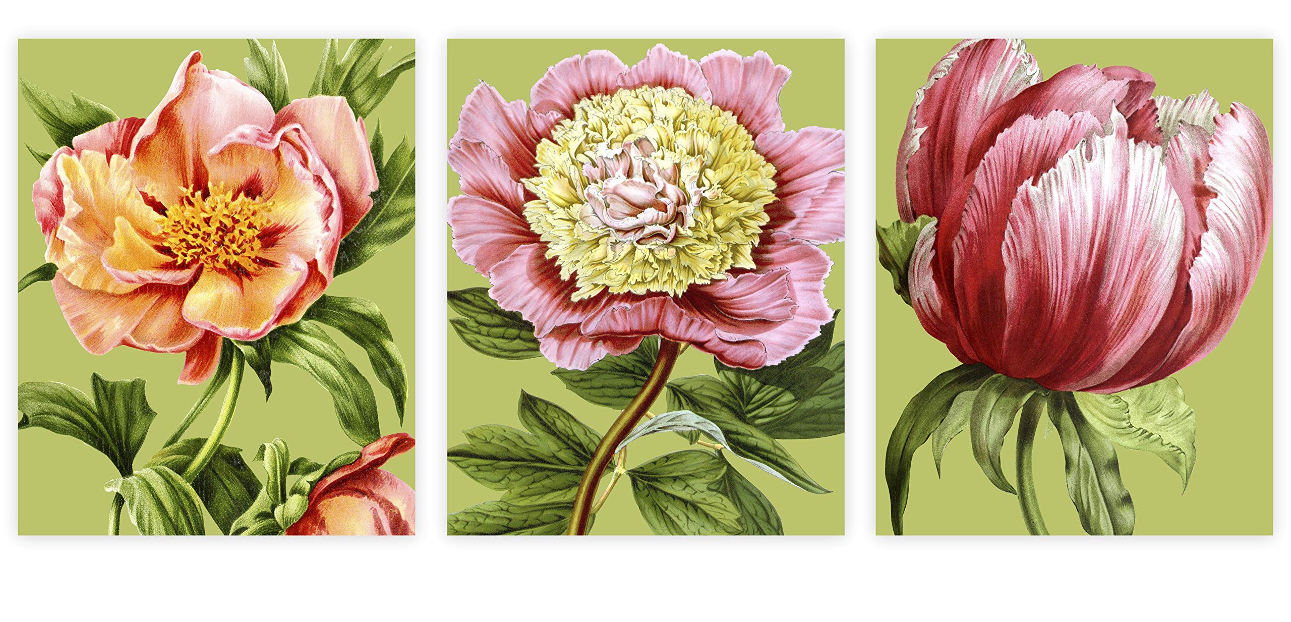 Flower Wall Art Set of 3 8x10 Art Prints - Botanical Prints - Flower Posters - Floral Art for Bedroom Bathroom - UNFRAMED (Pink Flowers on Green)