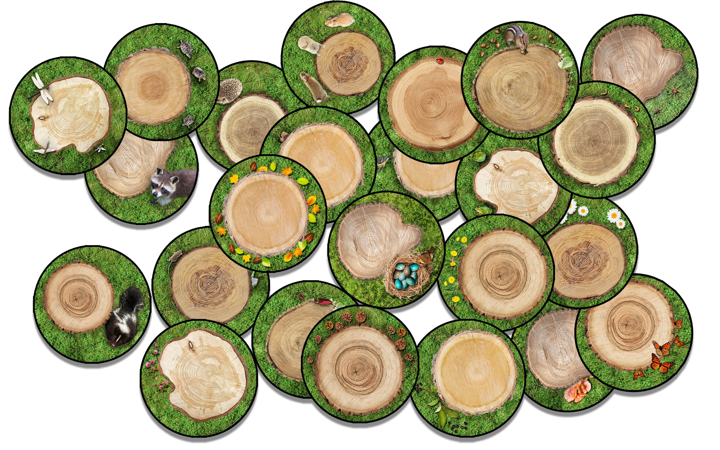 Flagship Carpets Forest Floor Multicolor Educational Rug for Children's Classroom, Playroom Carpet, Home Learning Area and Kid's Bedroom, Seating Rounds Set of 24