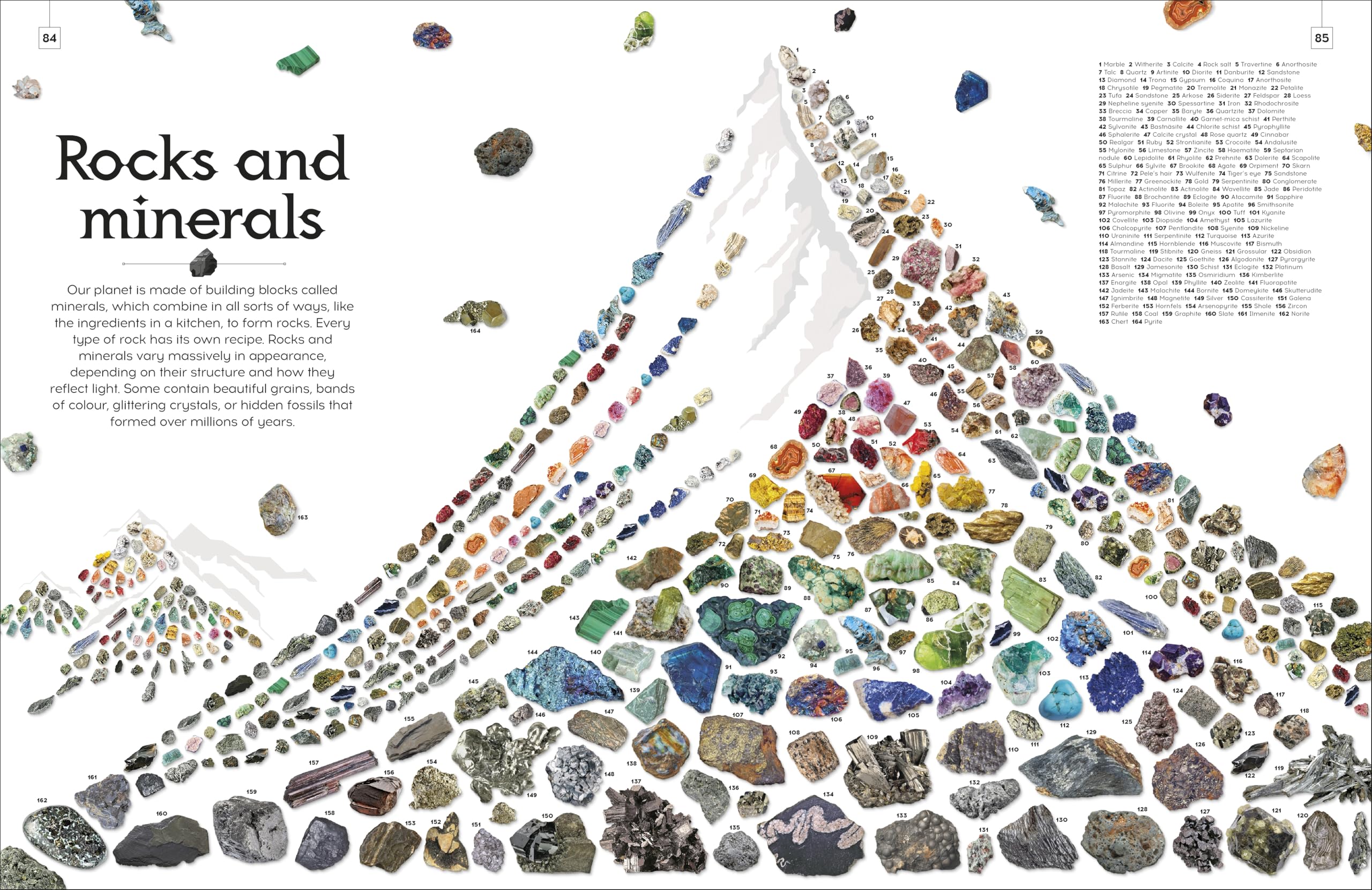 Shapes of Nature: A Big, Beautiful Book of the Natural World for Kids