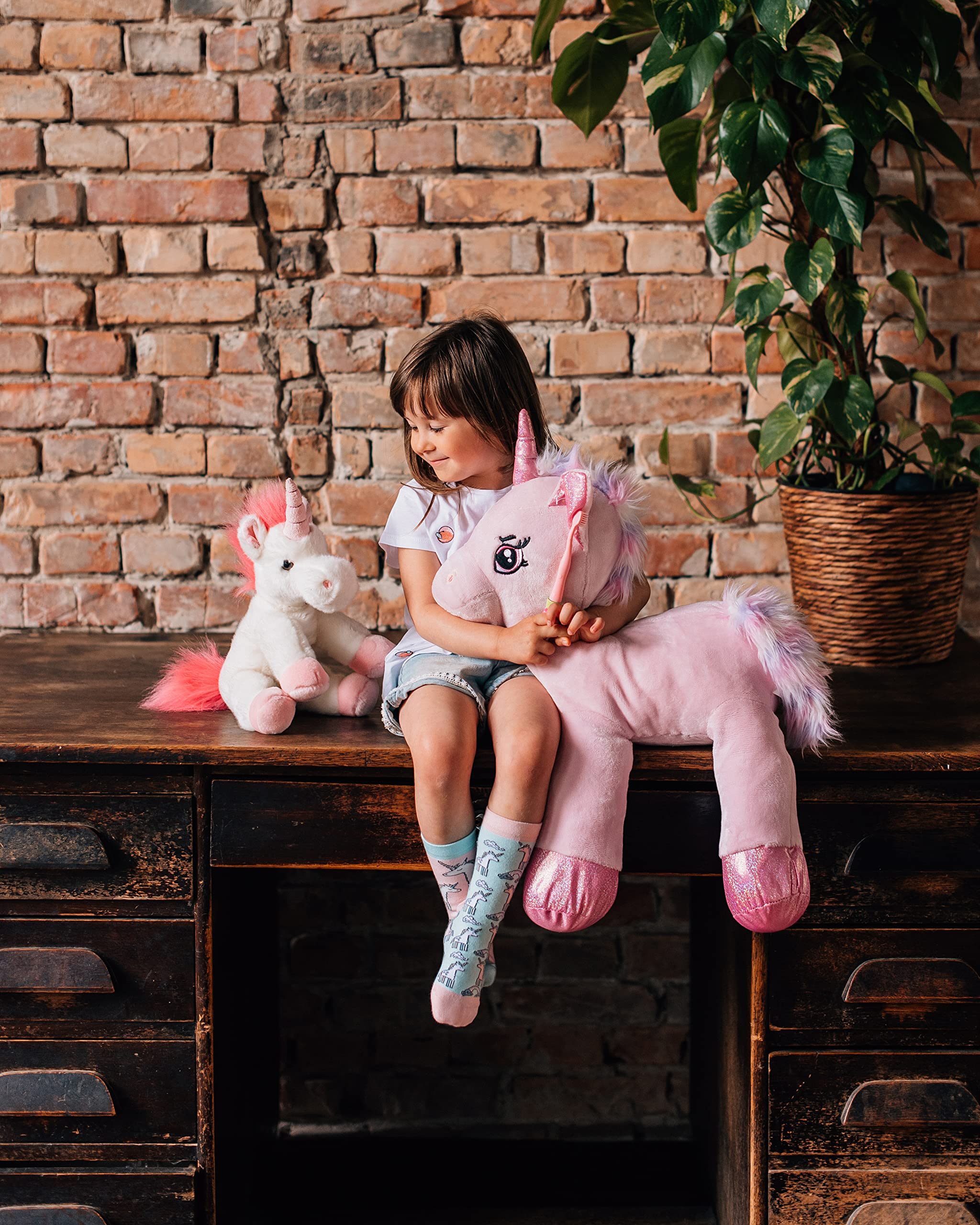 Dedoles Calzini Unisex Donna Uomo & Bambini Calze Cotone con tanti Design divertenti Calcio Bicicletta Piante Cavalli Regalo sinistra destra diversi