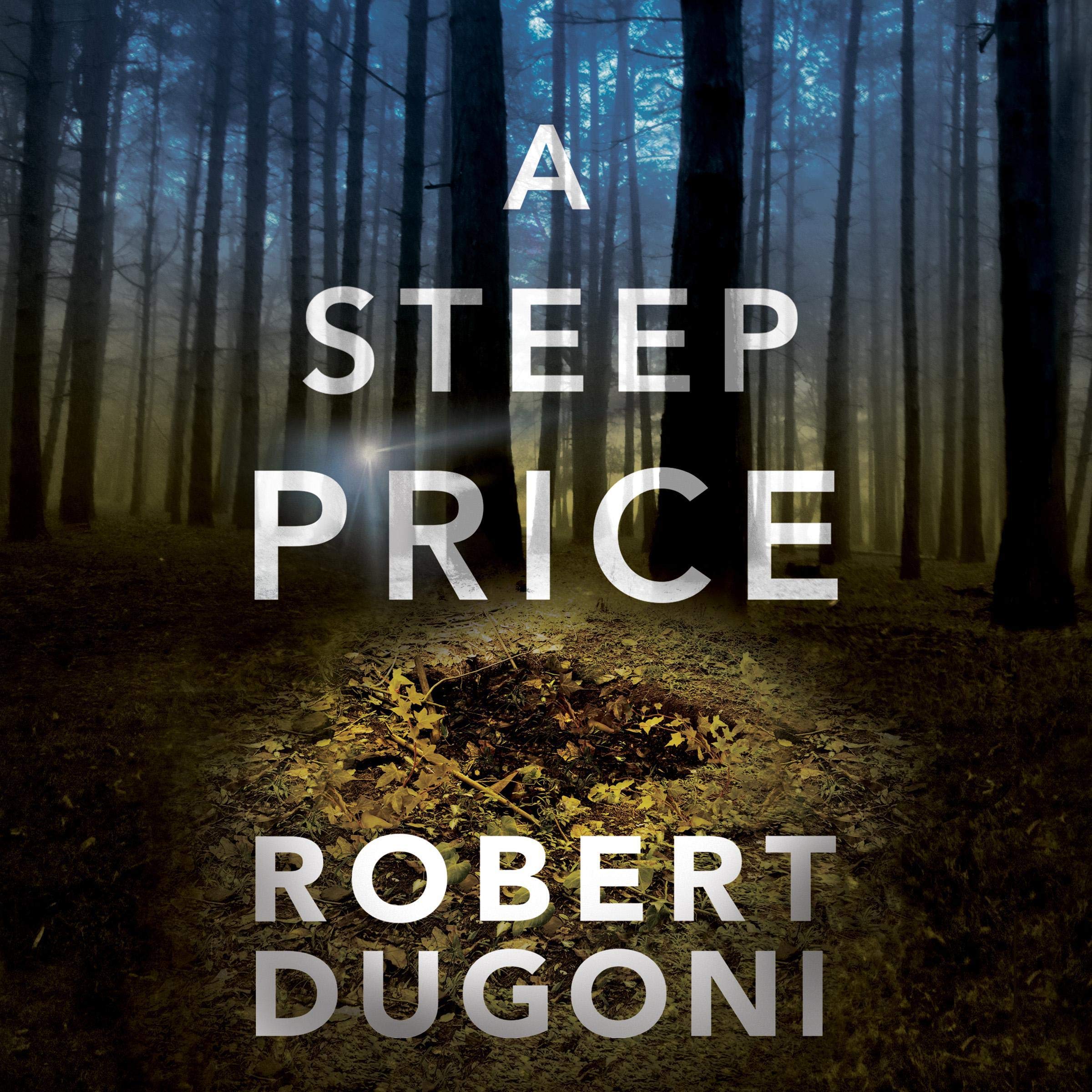 Cover art for A Steep Price