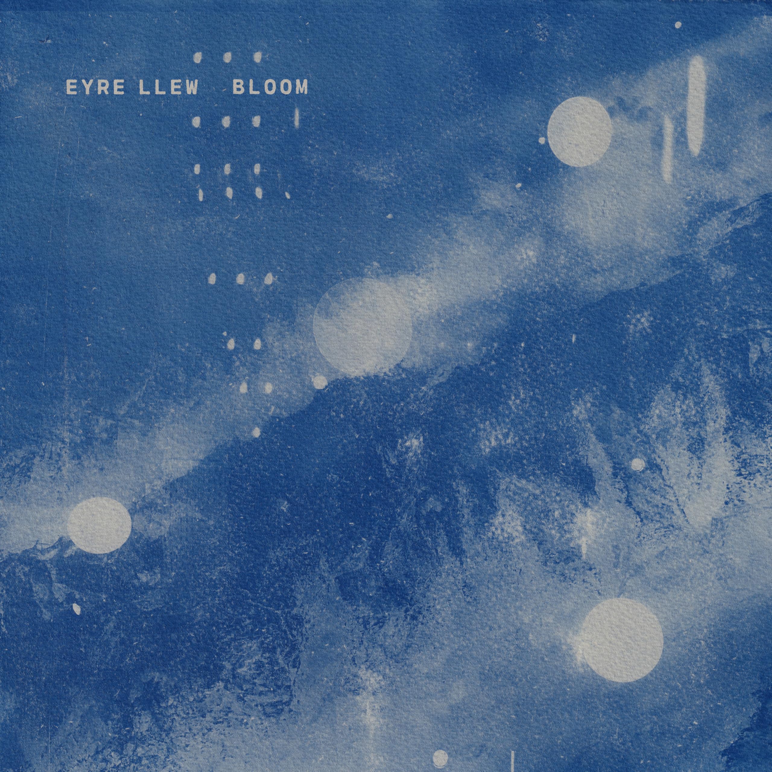 BLOOM [VINYL]