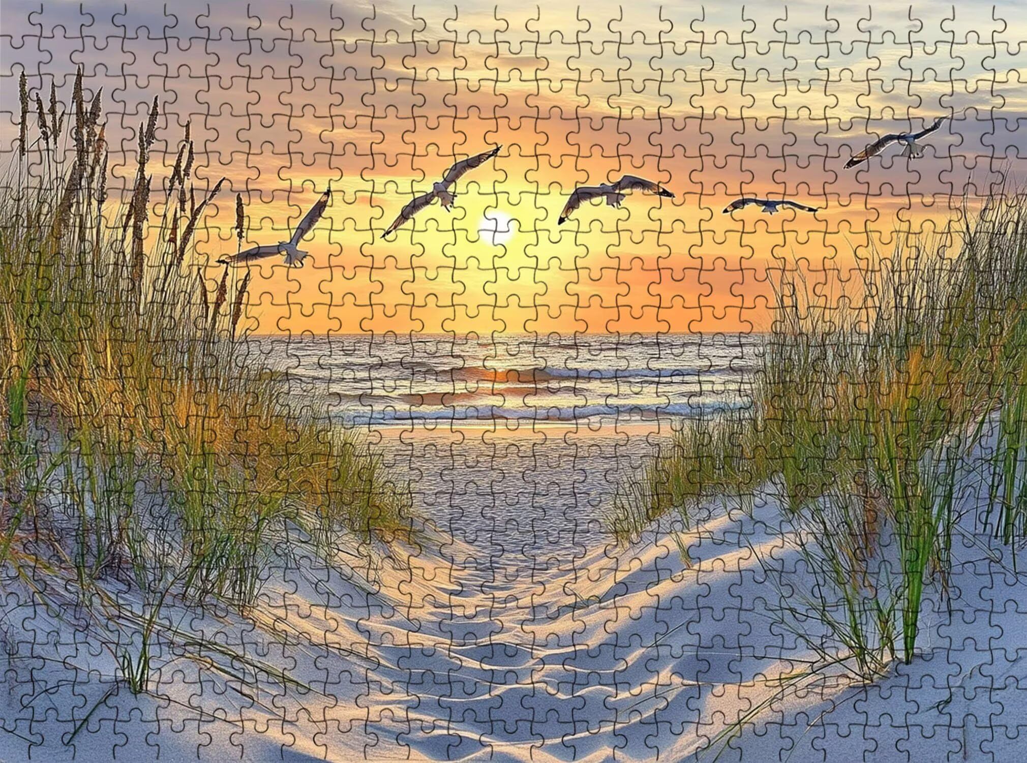 spiaggia Gabbiano Puzzle 5000 Pezzi per Adulti, Puzzle in Legno - Collezione Classica con Poster Incluso - Sfida di Concentrazione e Passatempo Antistress, Gioco per Famiglia, 156 x 105 cm f0-872