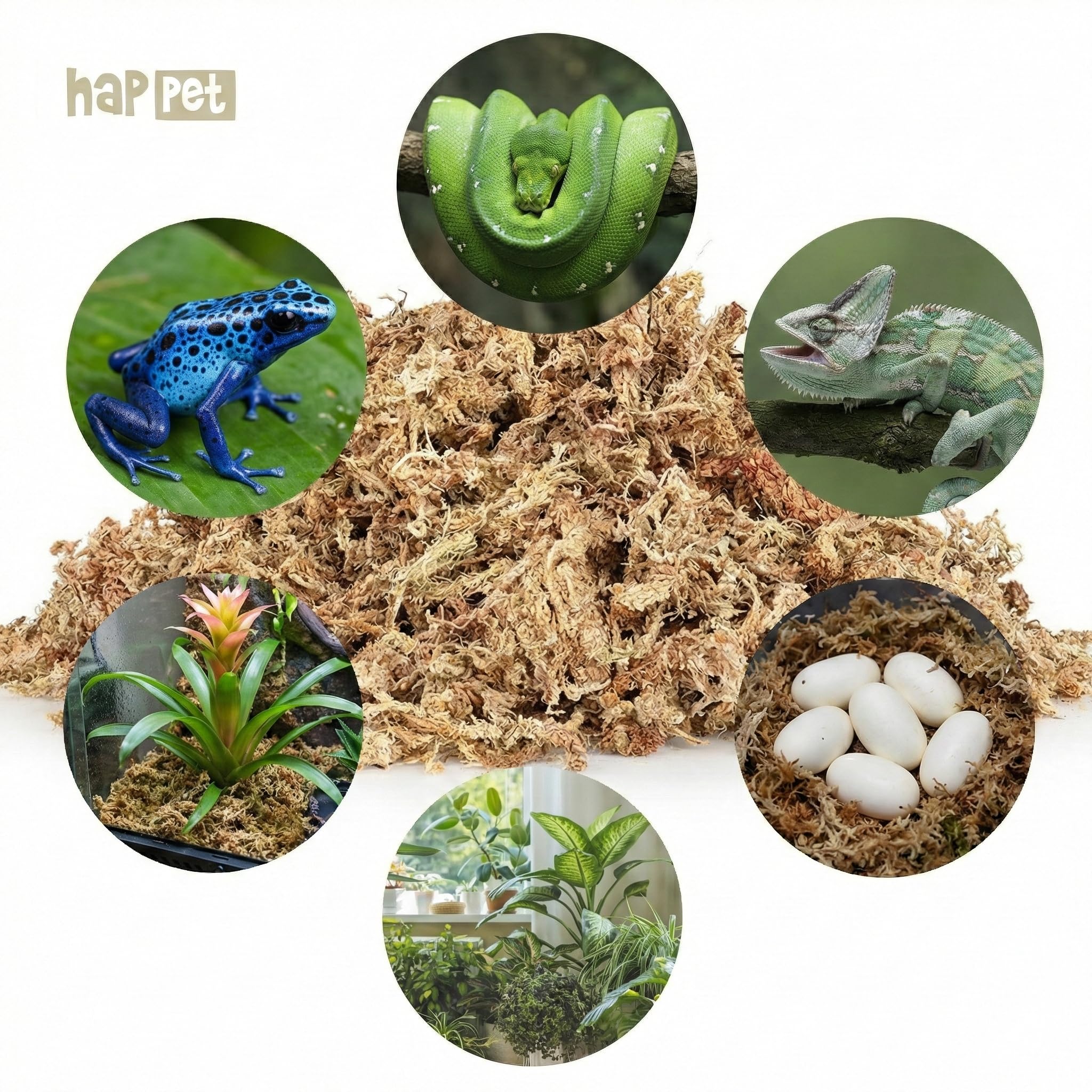HAPPET Sphaigne Naturelle 1 kg – Mousse Sphagnum Haute Rétention d’Humidité pour Terrarium Tropical, Reptiles, Amphibiens, Plantes, Incubation et Cachette Humide
