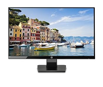 HP 24w Full HD Monitor (1920 x 1080) 23.8 Inch (1 HDMI, 1