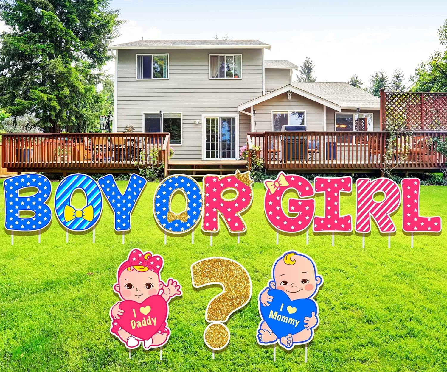 RIIFRILY Gender Reveal Decorations Boy or Girl Gender Reveal Party Supplies Yard