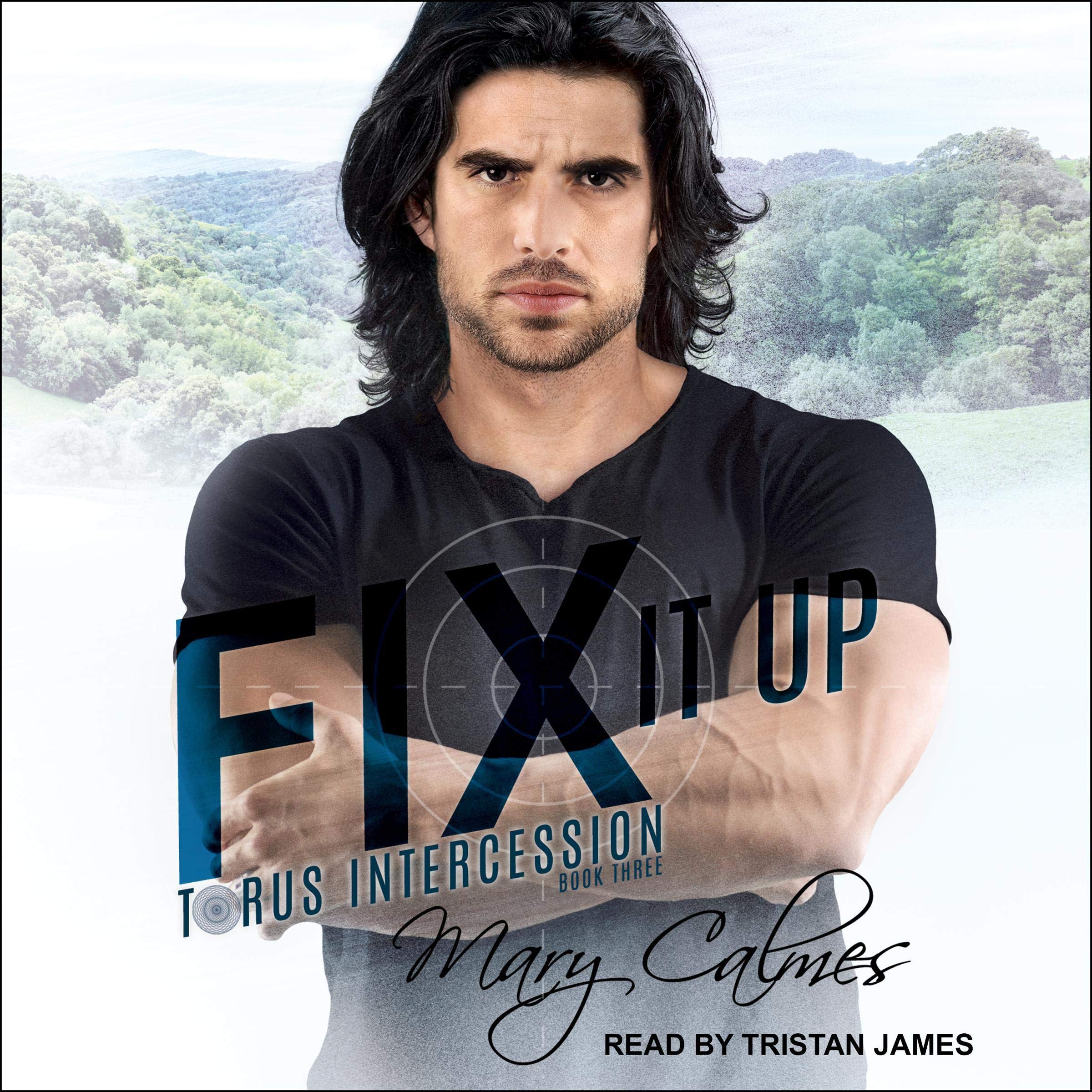 Cover art for Fix It Up