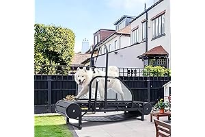 Dog Treadmills: Unlocking Optimal Health for Your Canine Companion
