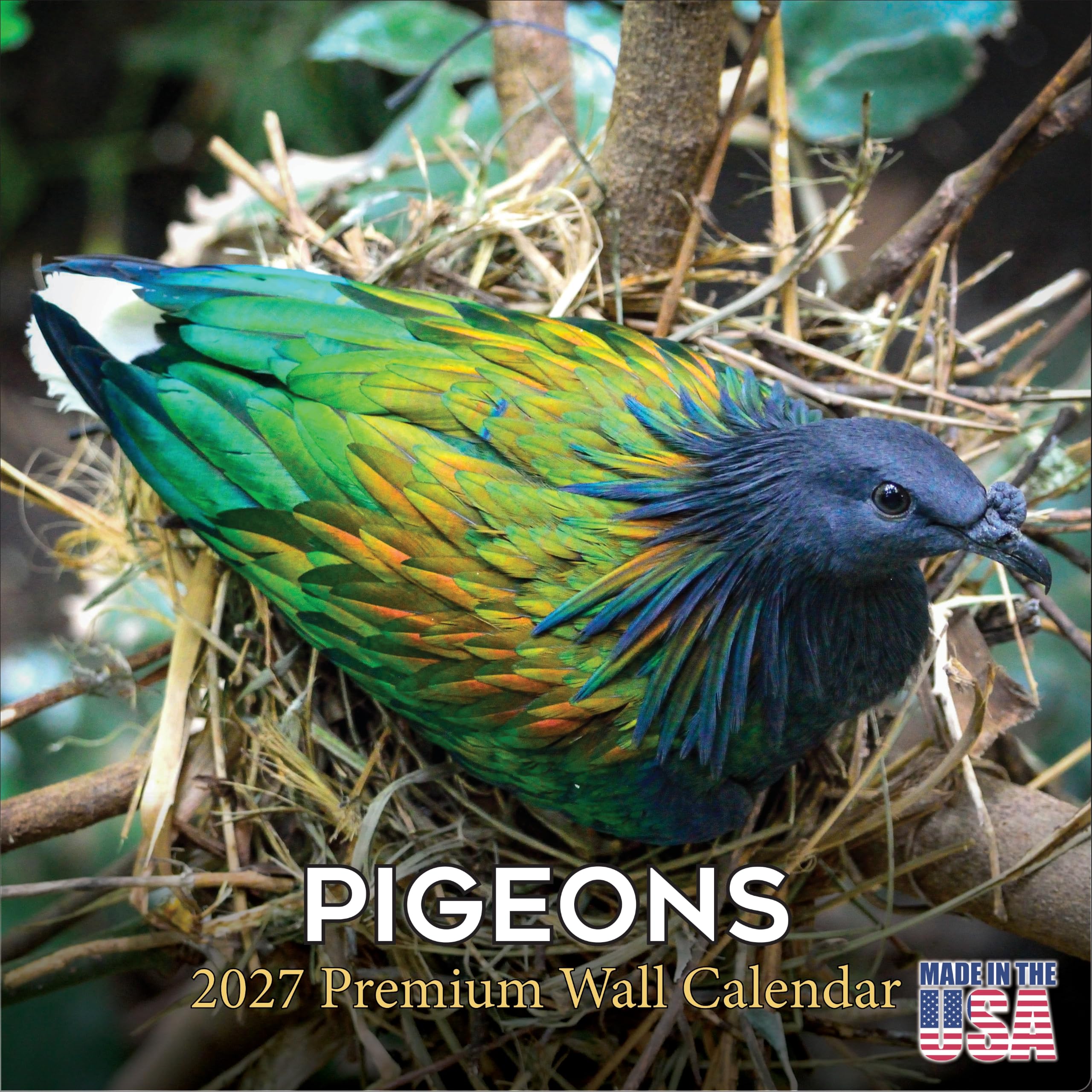 2027 Tauben – Vogelbeobachter Monats-Wandkalender, 16 Monate, 30,5 x 61 cm, dickes Papier, kein Ausbluten, großes Raster, begabbarer Tierkalender für Lehrer, Zuhause, Büro, hergestellt in den USA