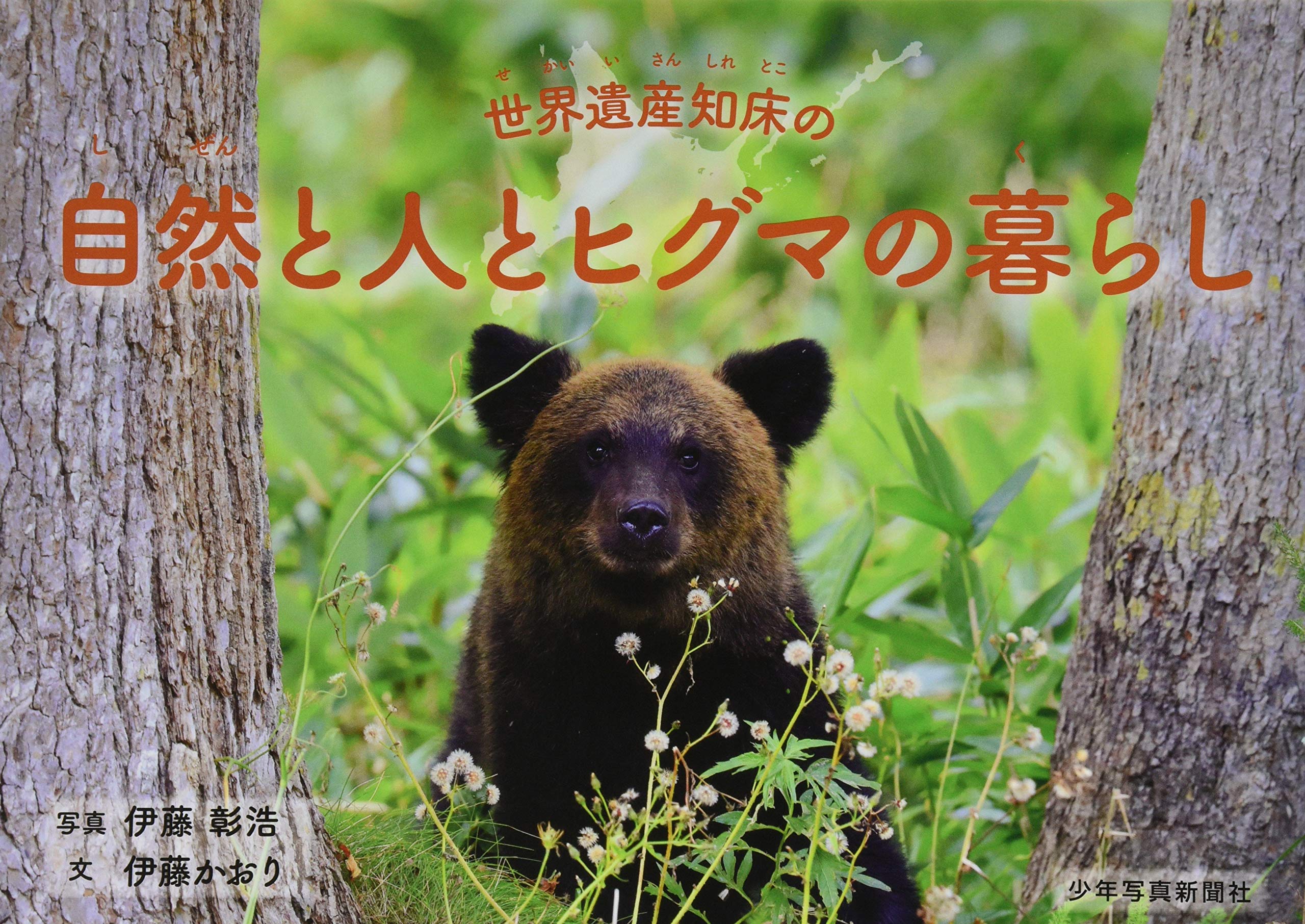 世界遺産知床の自然と人とヒグマの暮らし 少年写真絵本 伊藤 彰浩 伊藤 かおり 本 通販 Amazon