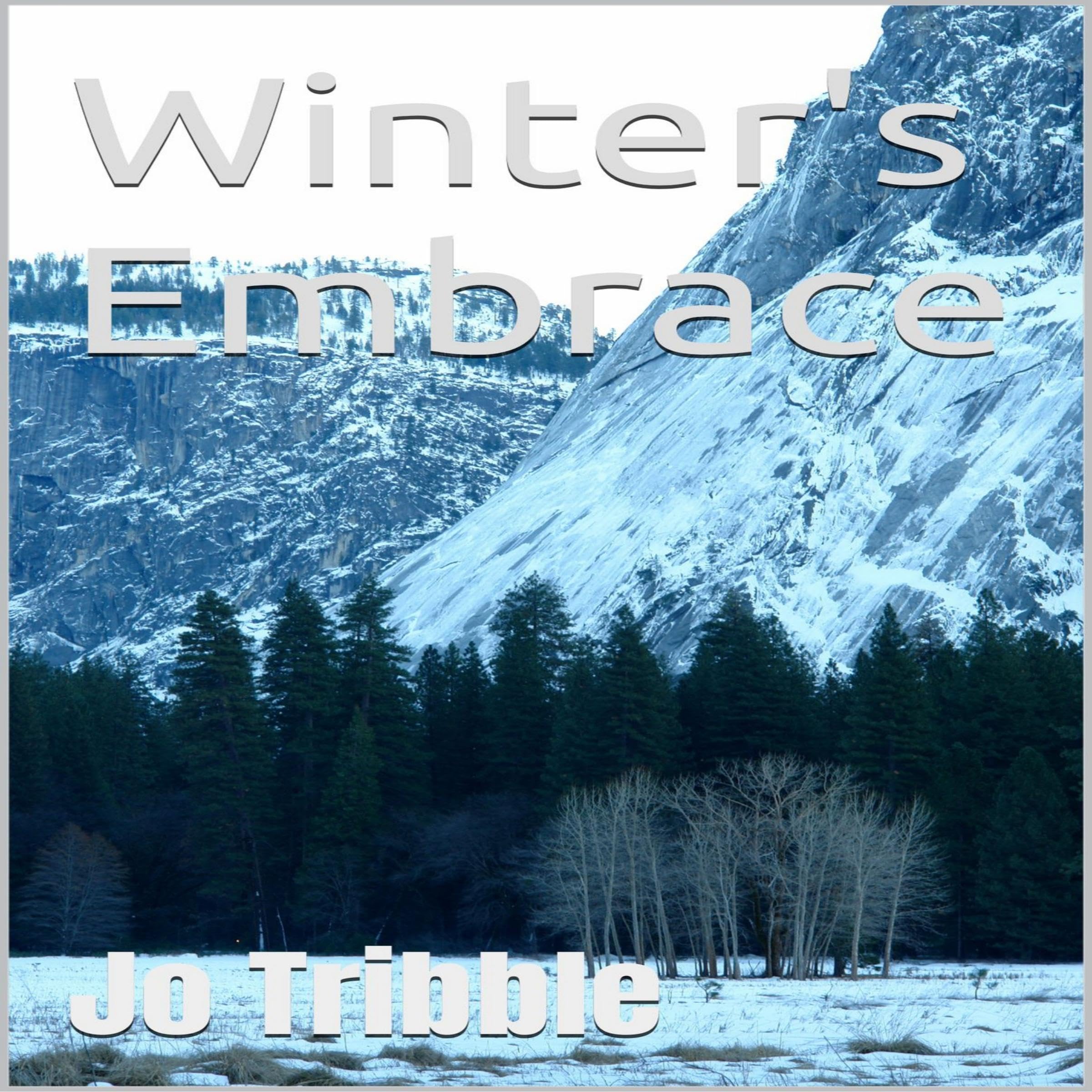 Cover art for Winter's Embrace