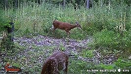 Review Image by dex dex