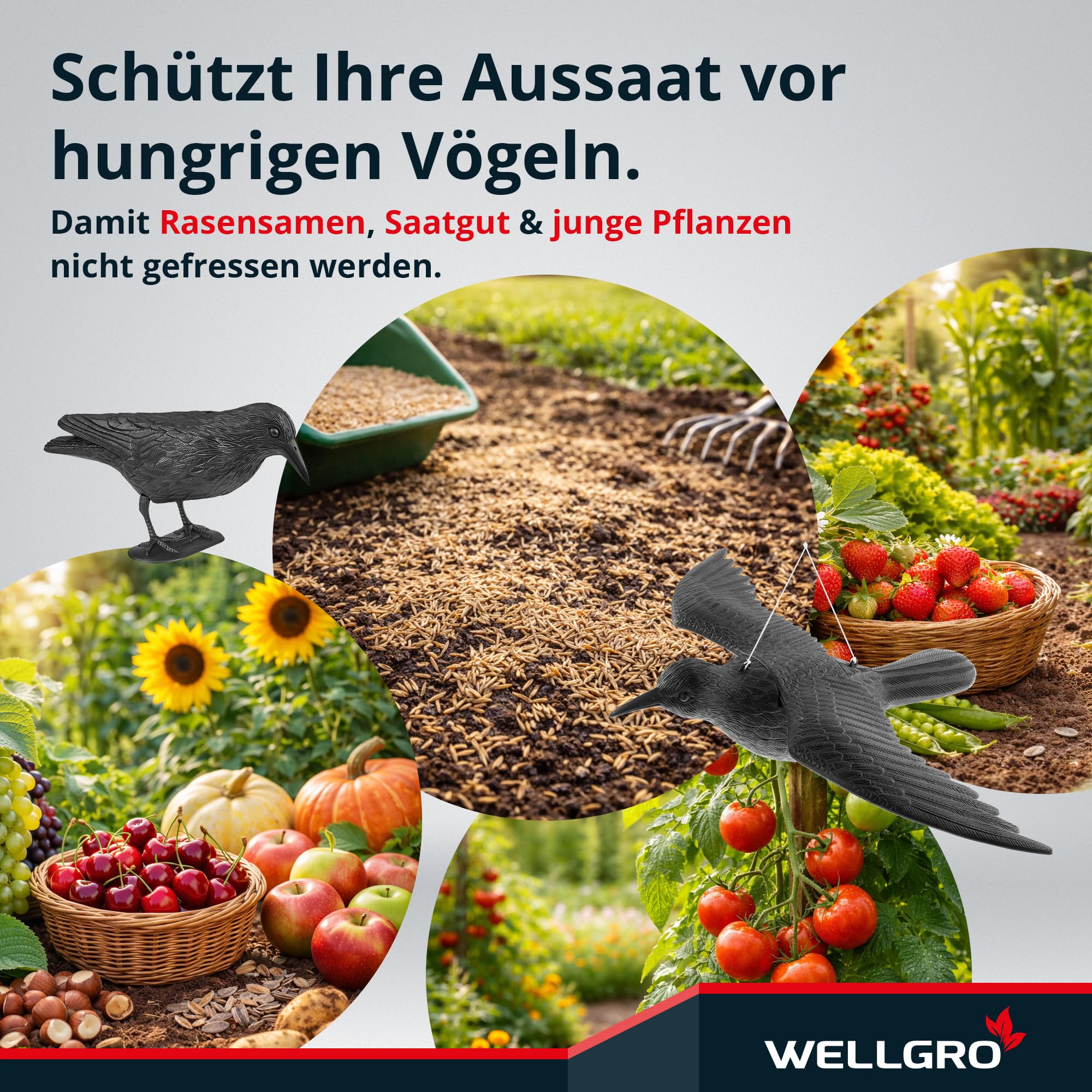 WELLGRO 4 X Uccello Schreck, Corvo Seduto di Plastica, Nero