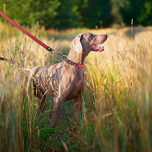 Miniatura 7 de Correa de gancho de bloqueo de clic de 4 pulgadas de largo, reflectante, resistente, correa de seguridad de nailon segura con clip de mosquetón de