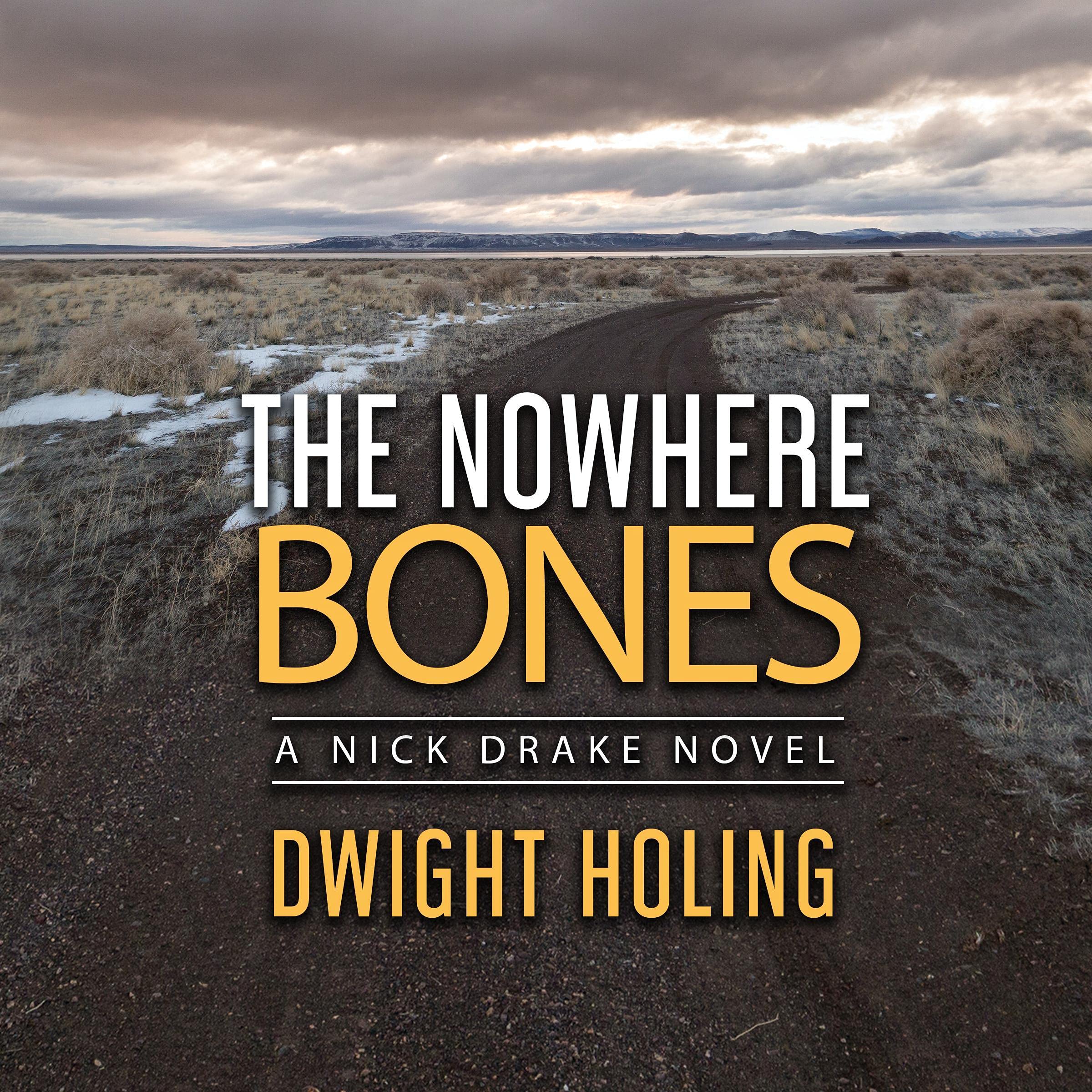 Cover art for The Nowhere Bones