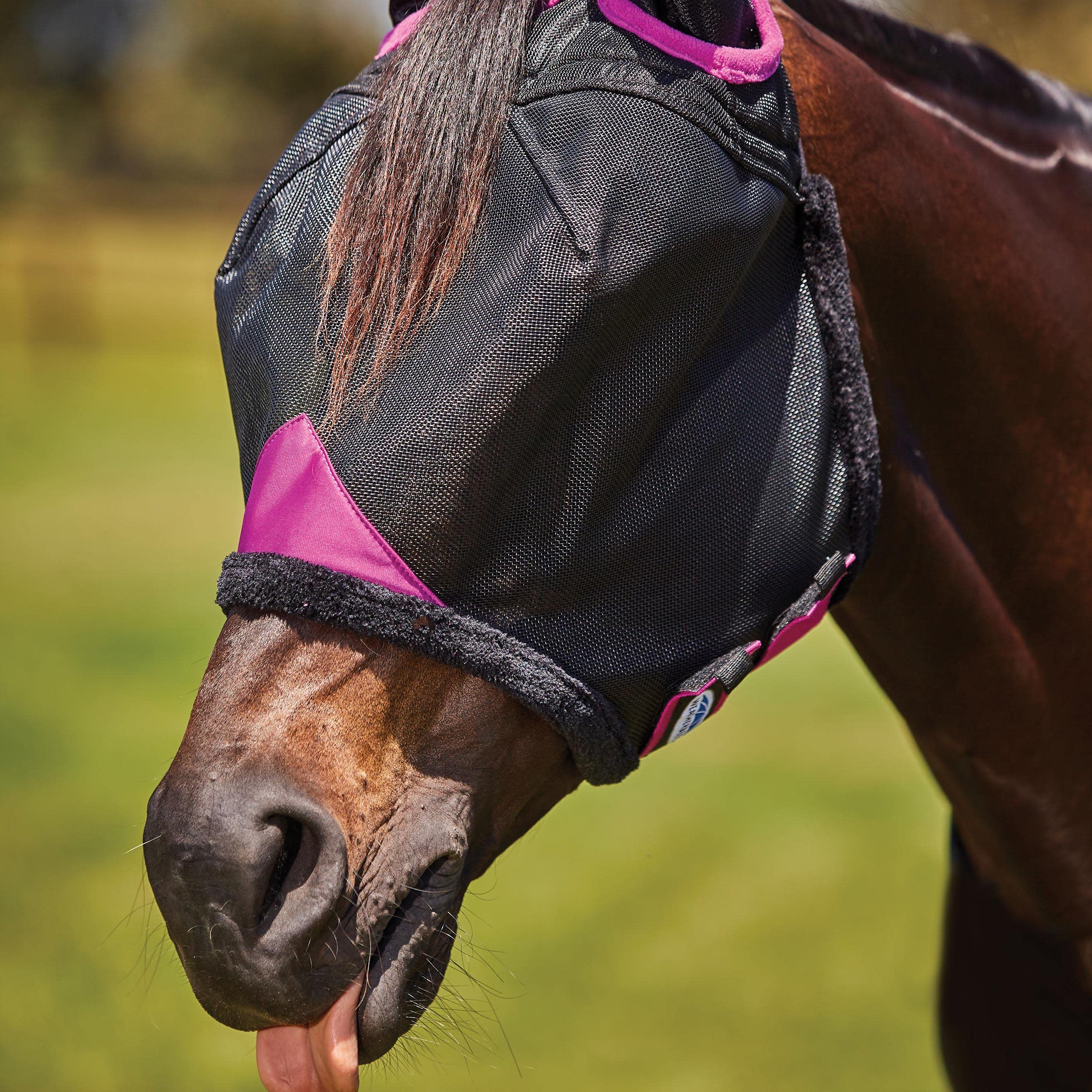 Weatherbeeta Comfitec Maschera Per Cavallo A Maglia Fine Con Orecchie - Nero/Turchese