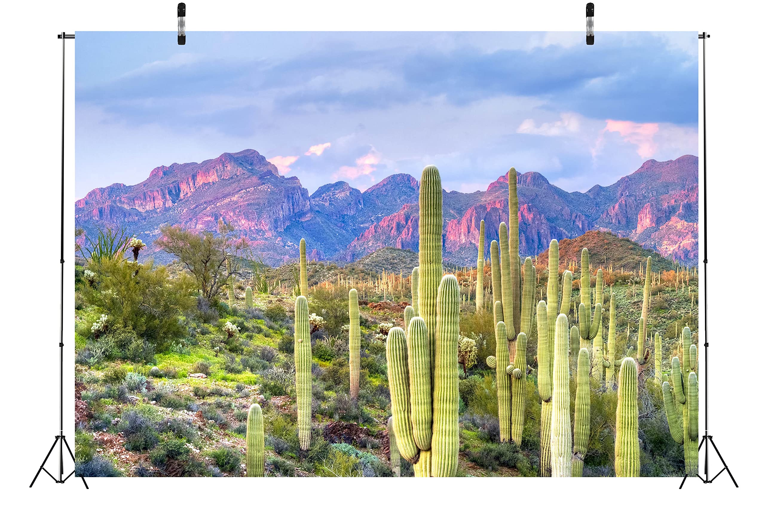 BELECO Woestijnachtergrond Van Stof 2,1 X 1,5 M – Perfect Voor Western Feestjes, Fotoshoots Met Cowboy-thema, Blauwe Lucht, Zandduinen En Saguaro-cactussen
