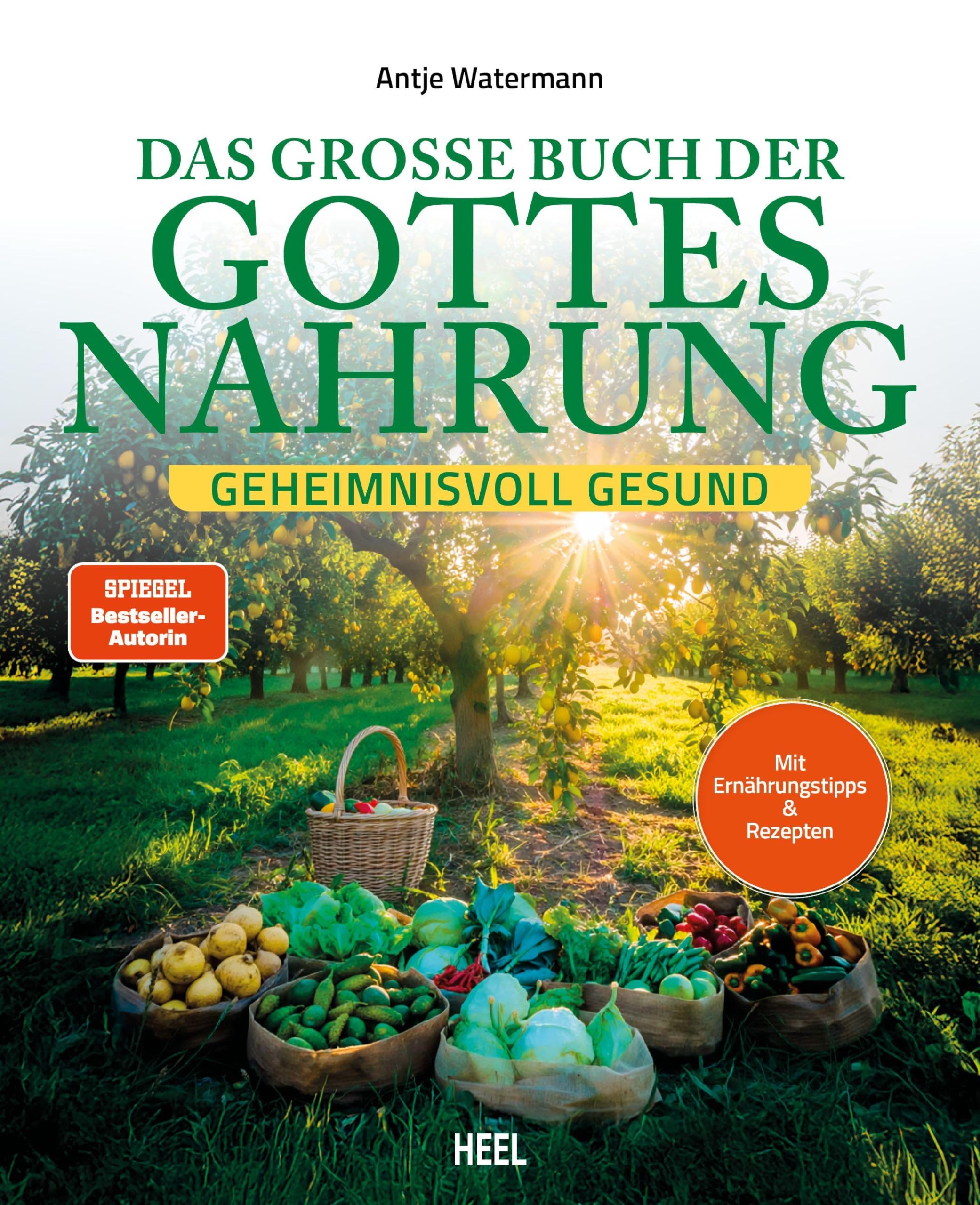Das große Buch der Gottesnahrung: Geheimnisvoll gesund - 40 heilsame Rezepte für Körper & Seele – frisch, natürlich und unverarbeitet – genussvolle Ernährung für ein gesundes Leben – Iss Dich gesund