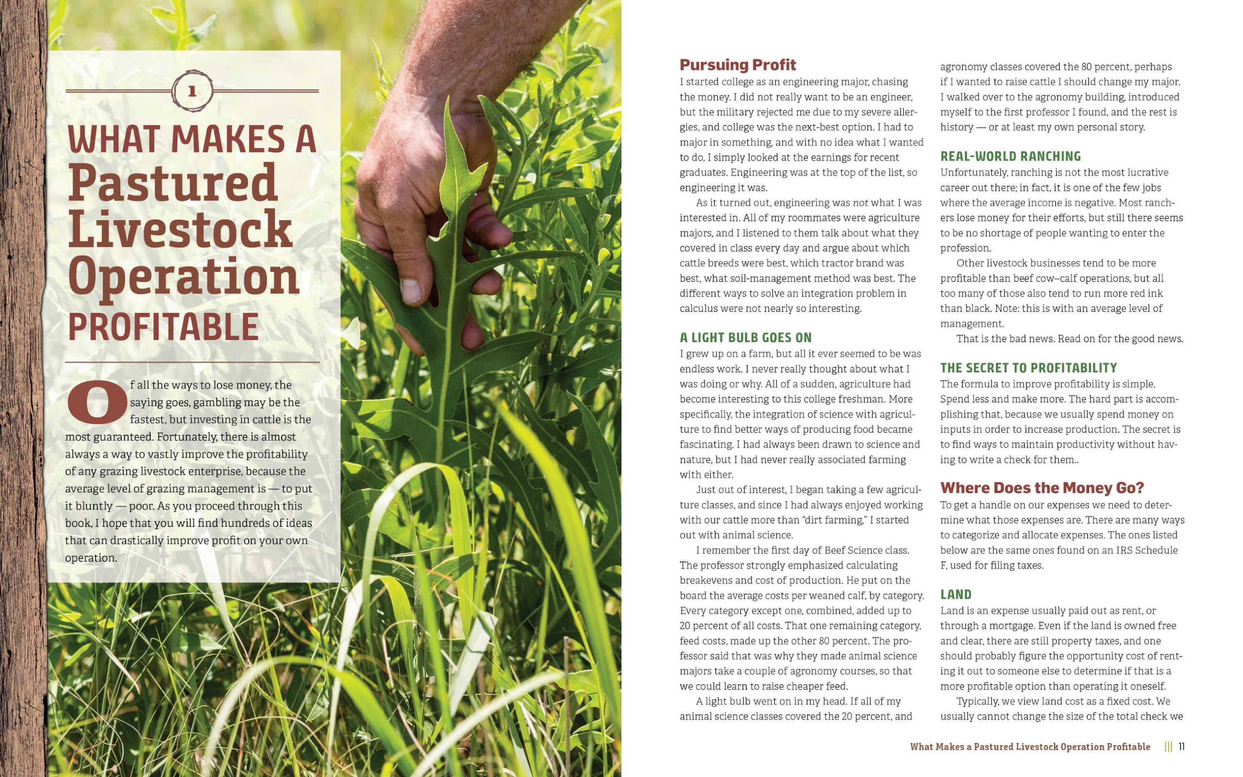 Managing Pasture: A Complete Guide to Building Healthy Pasture for Grass-Based Meat & Dairy Animals