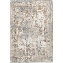 Chenille Machine Washable Area Rugs with Non Slip Backing, Ideal for Hallway, Living Room, Bedroom, Kitchen and Laundry Room, Vintage and Low Pile Rug Beige-Blue, 5x7