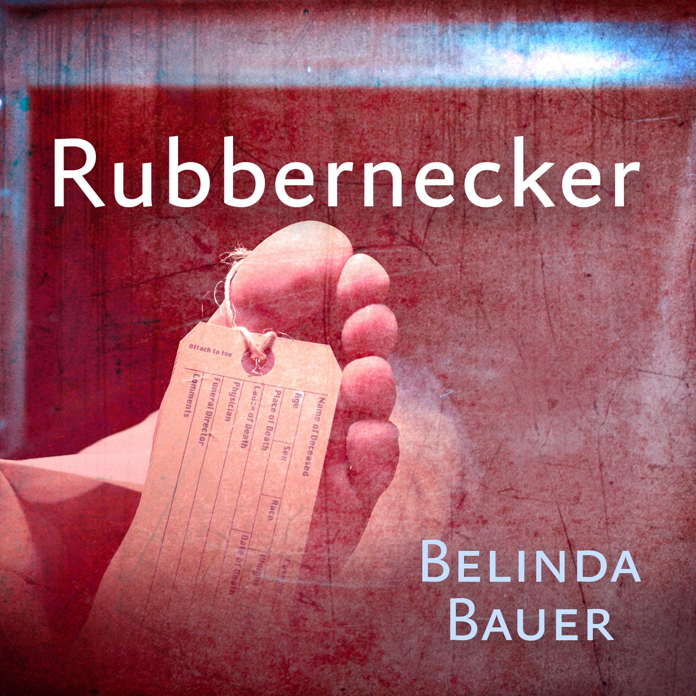 Cover art for Rubbernecker