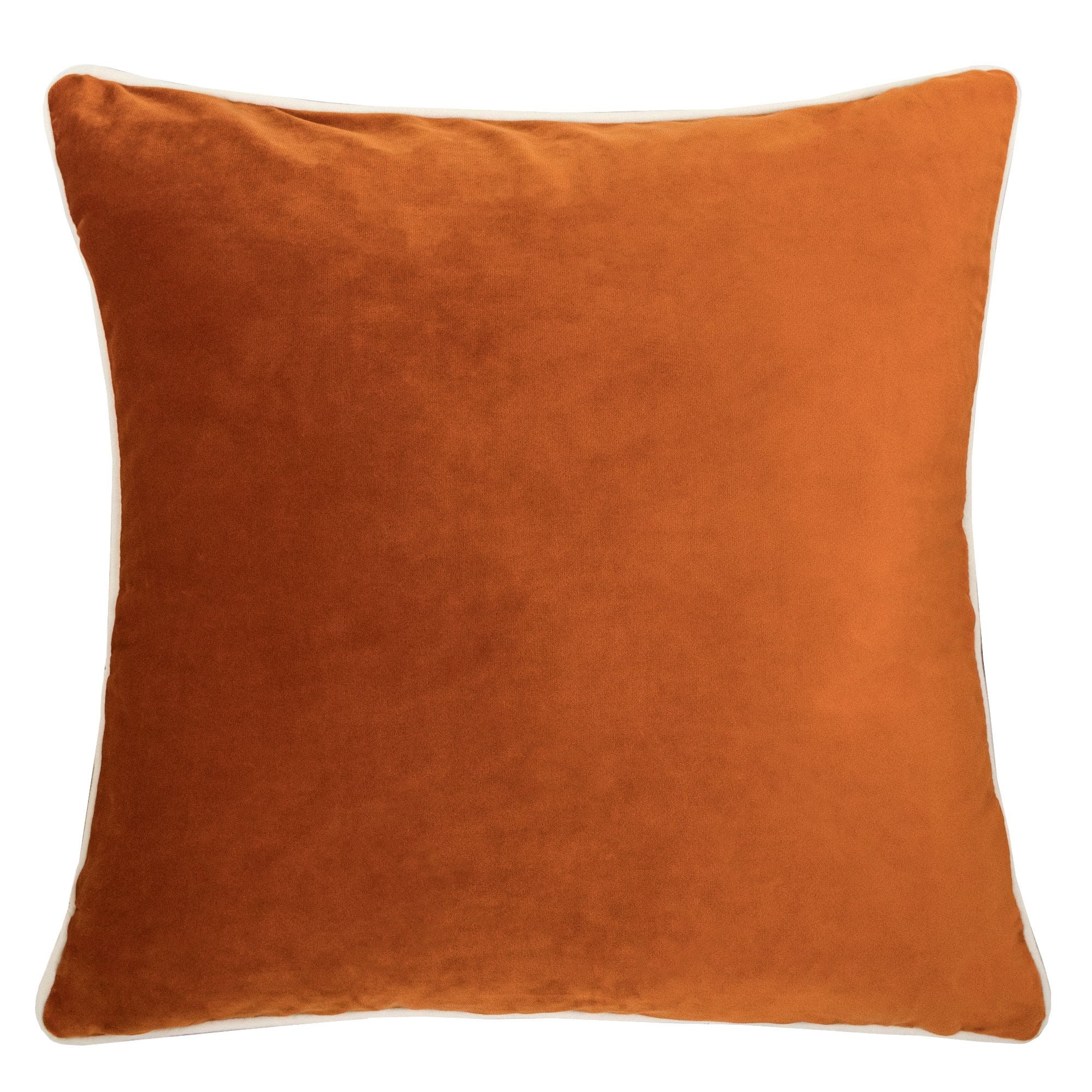 Homey Cozy Velvet Throw Pillow Cover,Orange Series Basic Solid Soft Fuzzy Cozy Warm Slik Decorative Square Couch Cushion Pillow Case 20 x 20 Inch, Cover Only