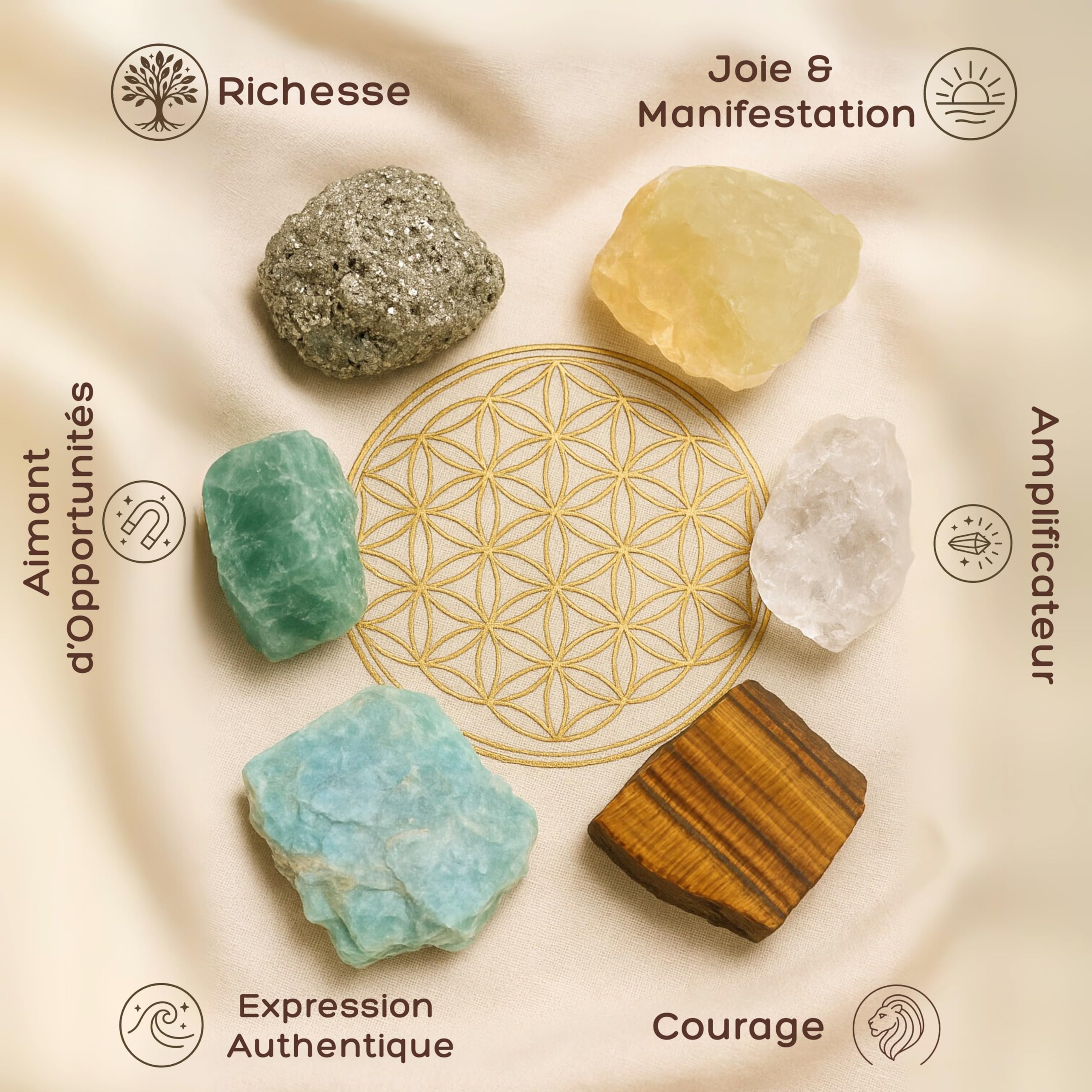 ANIMA Coffret en Pierres Précieuses d’Abondance pour Prospérité, Chance & Succès – Cristaux Naturels Bruts: Citrine, Pyrite, Œil de Tigre, Aventurine, Amazonite & Quartz Clair – Boîte Cadeau en Bois
