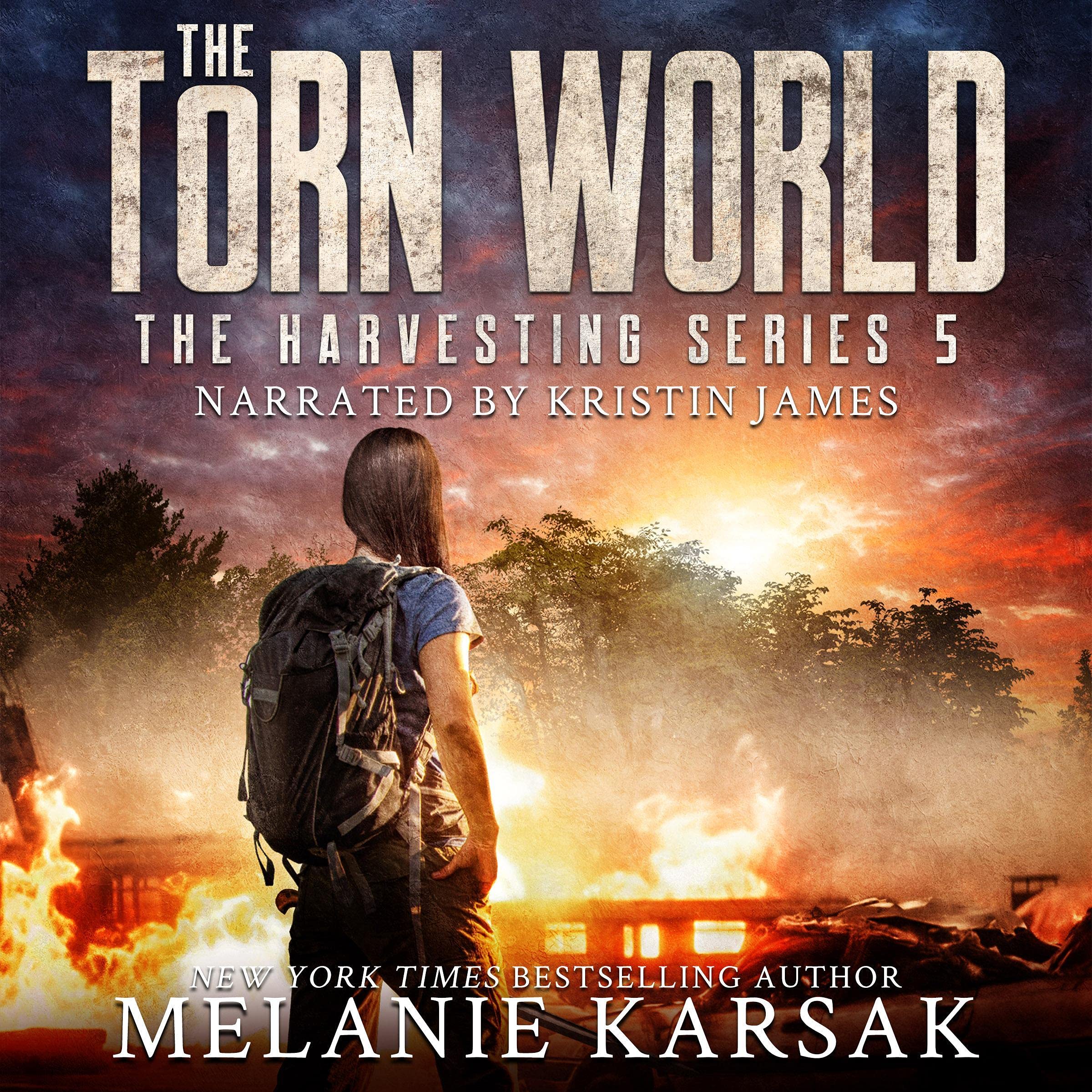 Cover art for The Torn World