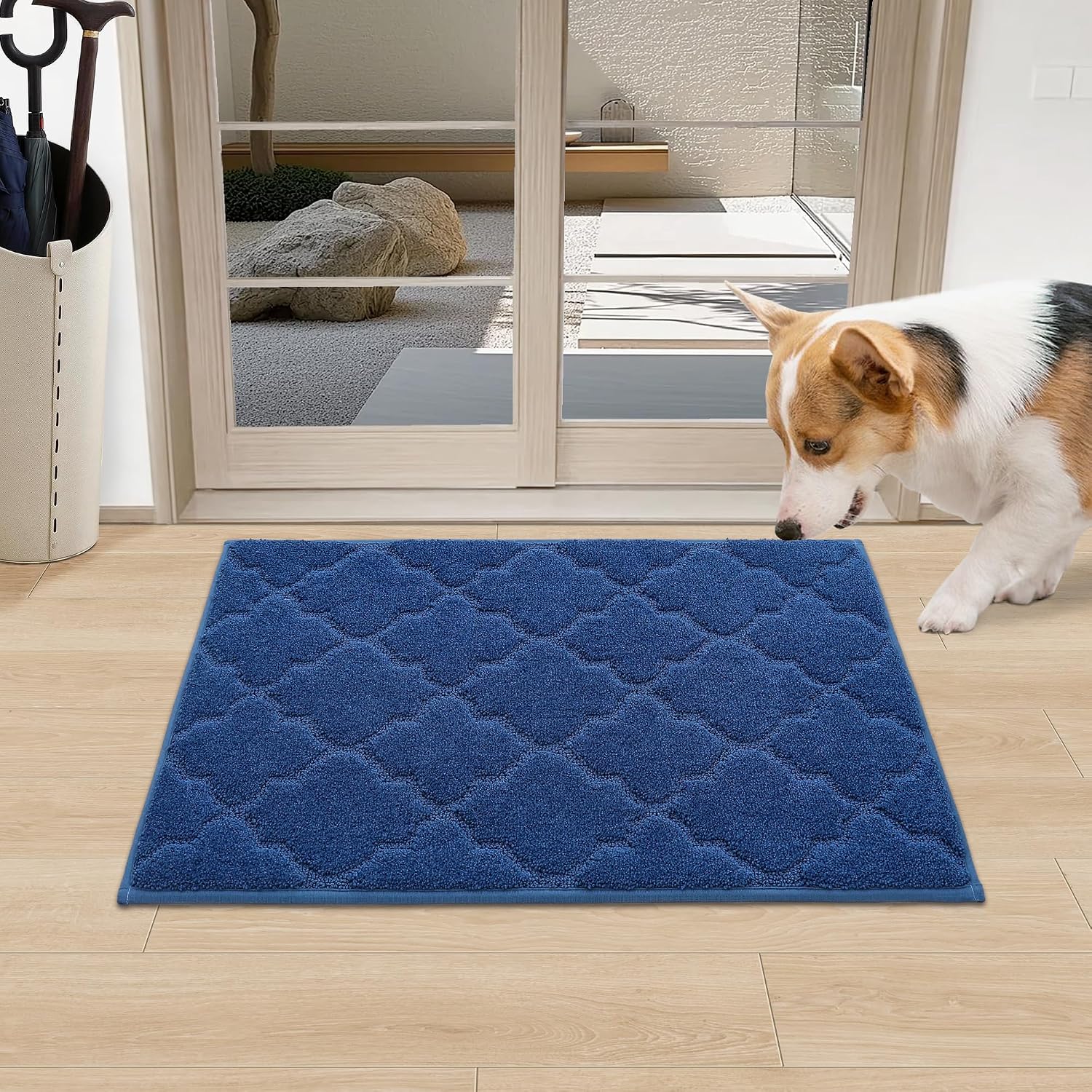 COSY HOMEER Door Mat Non-Slip Entryway Mats for Indoor Use, Absorbent Doormat for Front Door, Washable Low Profile Entrance Mat,20"x32",Blue
