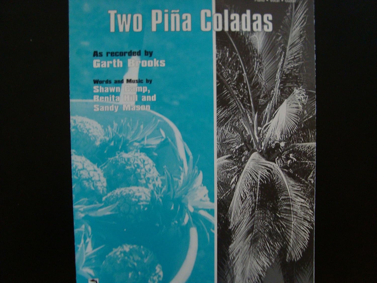 Two Pina Coladas / Garth Brooks / Piano,vocal,guitar Camp / Hill