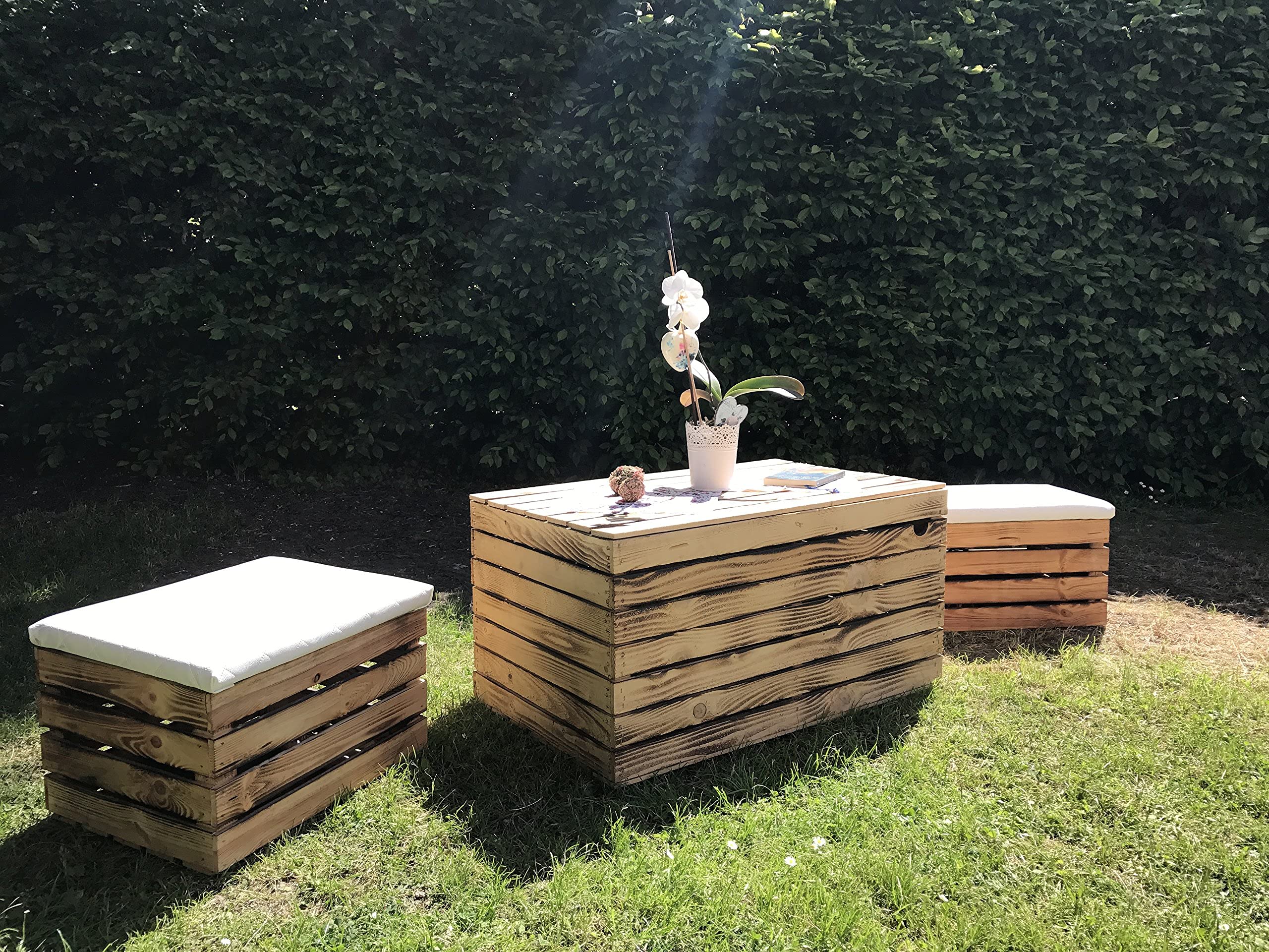 Holztruhe mit Deckel Truhe Couchtisch im Landhausstil, Stauraum für Decken, Kissen im Schlafzimmer (80x50x39cm groß geflammt)