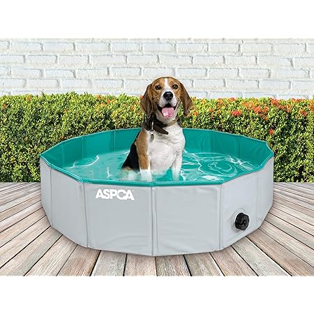 Hard Plastic Pool 47