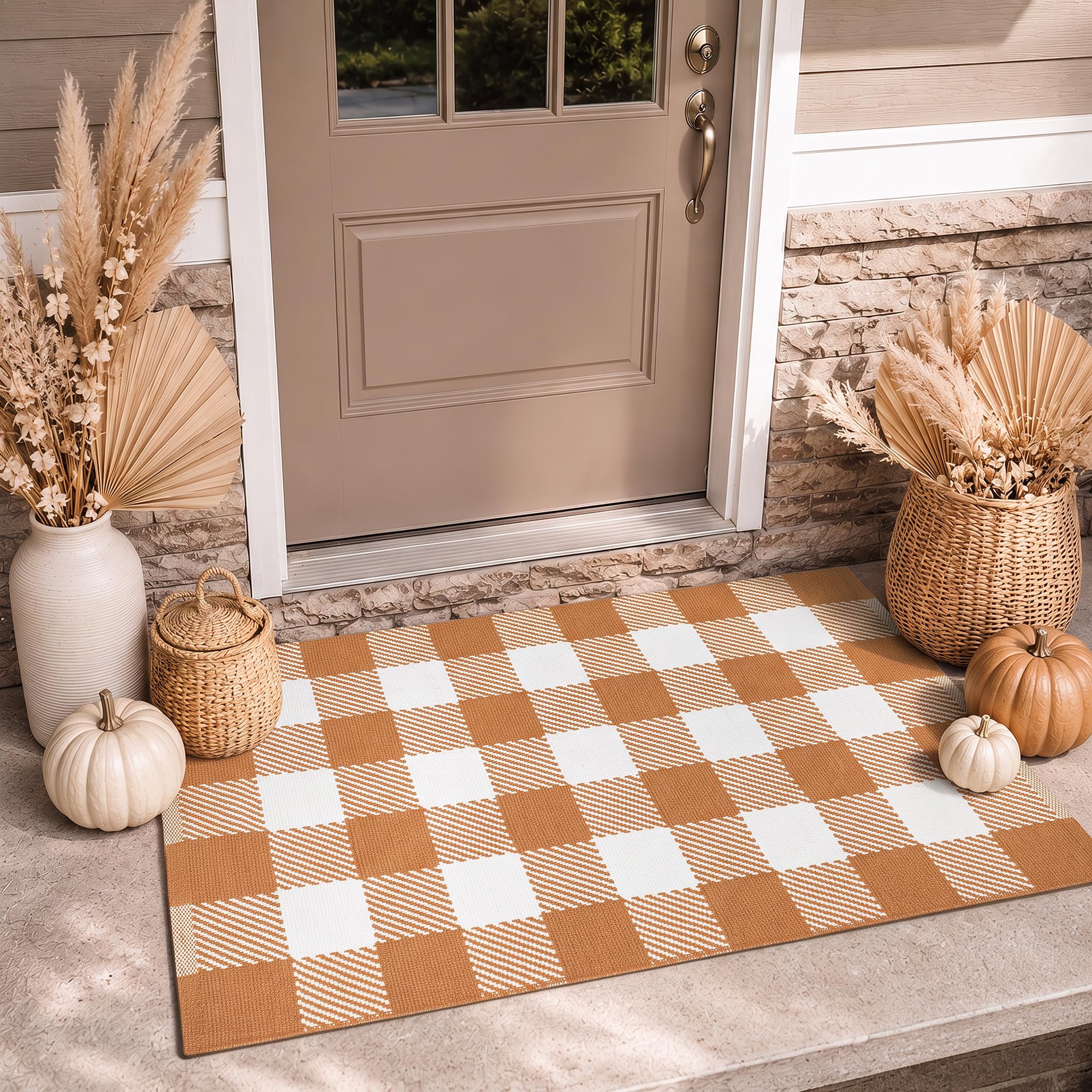 Black & White Buffalo Rug - Halloween Door Mat -14 Black & White Buffalo Rug - Halloween Door Mat -14