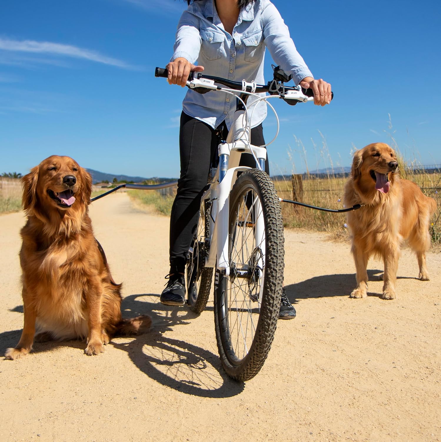 Sherpa Cycleash Hands Free Dog Bike Leash with Shockless TPR Technology - Ultra Light Alloy Construction, Ergonomic Design for Safe Cycling with Active Dogs - Sliver, One Size